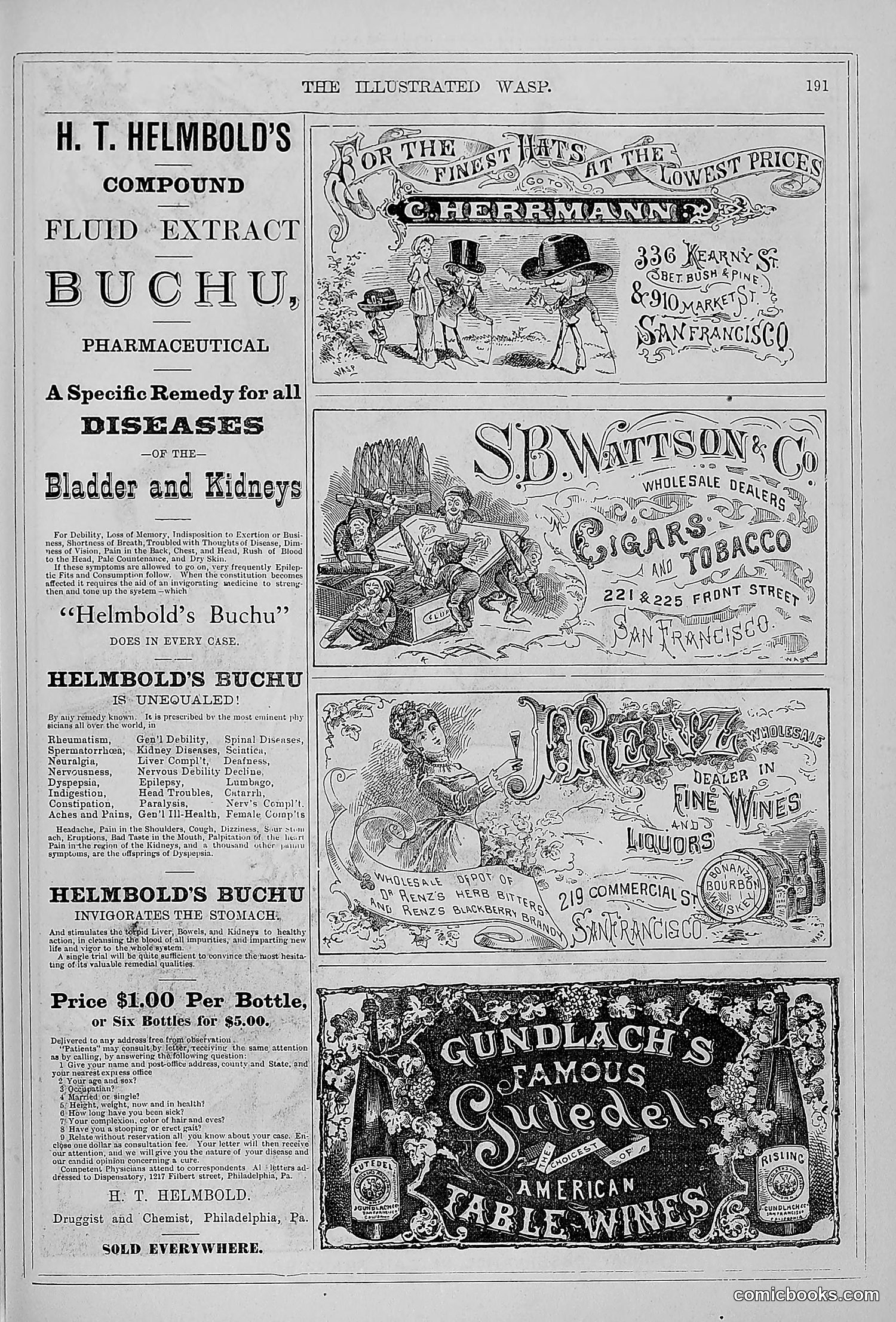 The Wasp — 1879 — page 186 of 846