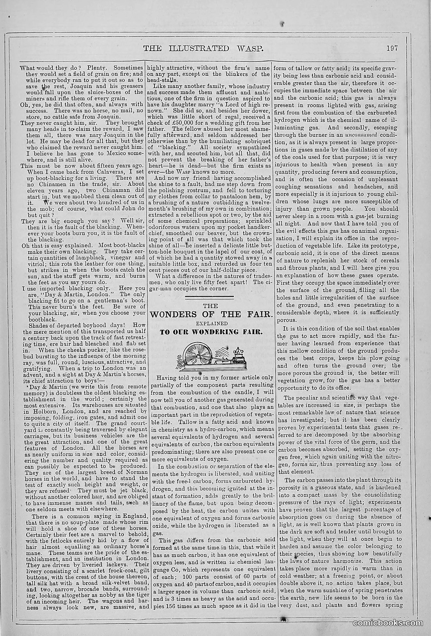 The Wasp — 1879 — page 192 of 846