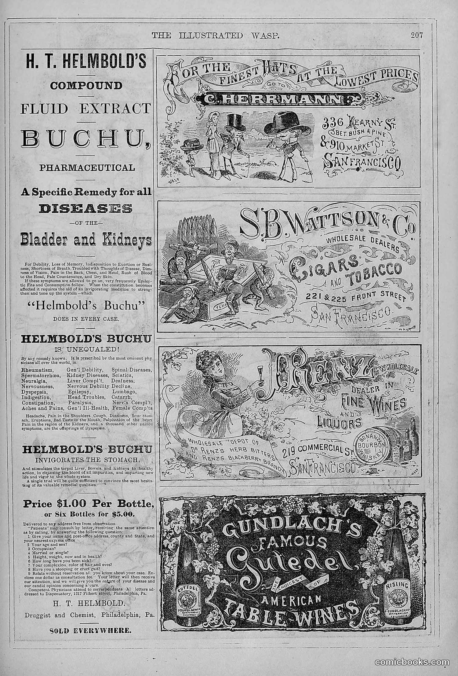 The Wasp — 1879 — page 202 of 846