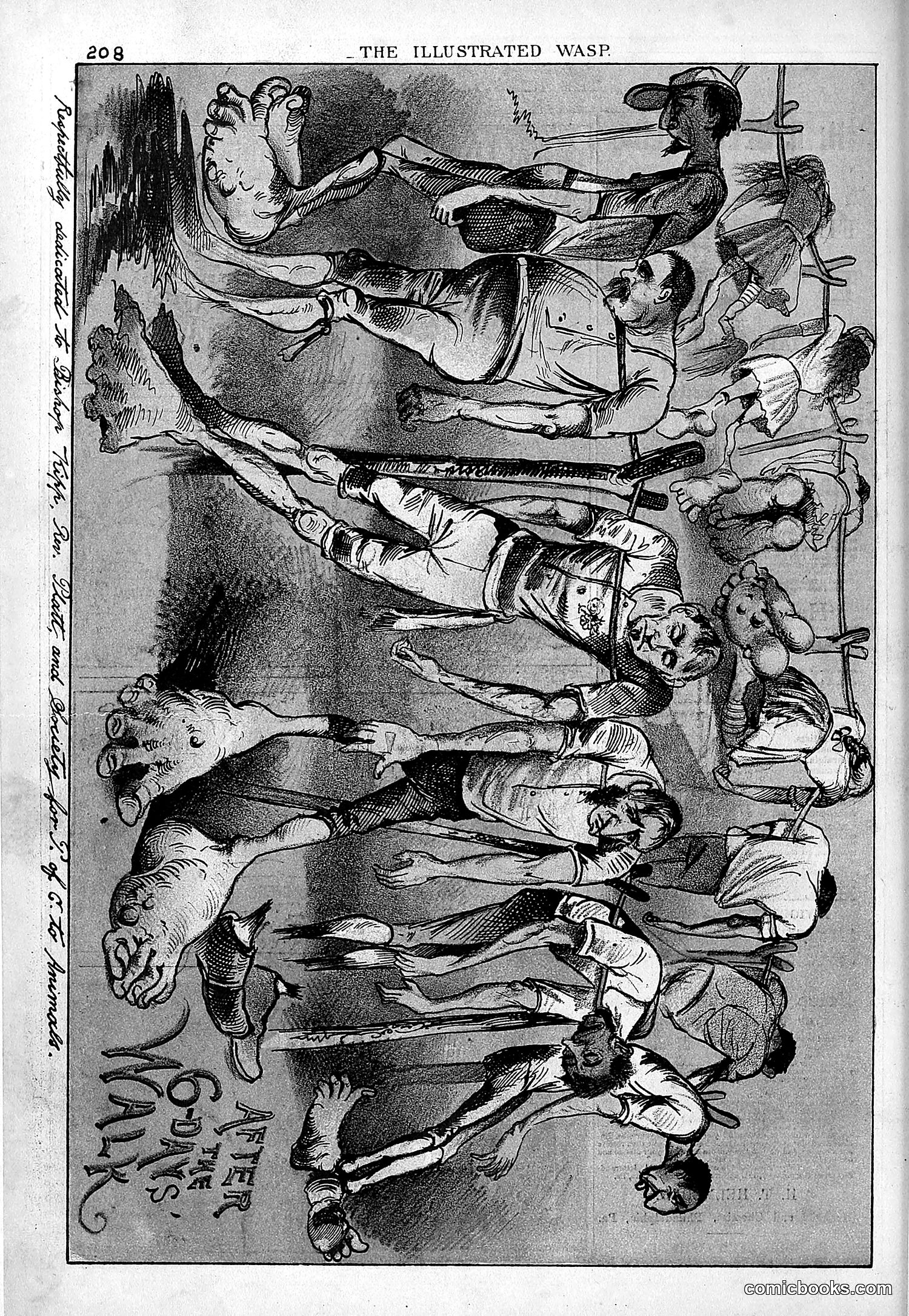 The Wasp — 1879 — page 203 of 846