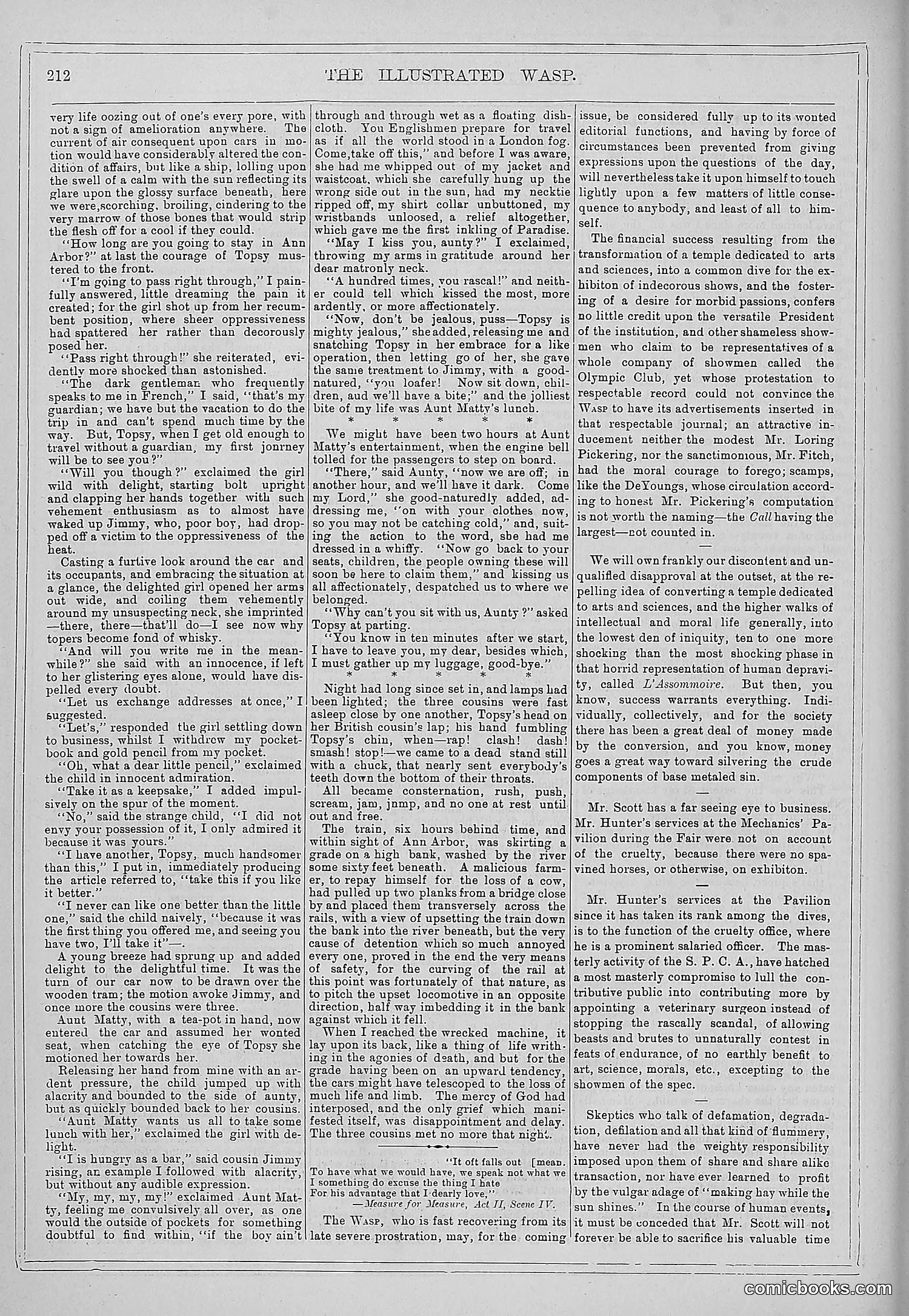 The Wasp — 1879 — page 207 of 846