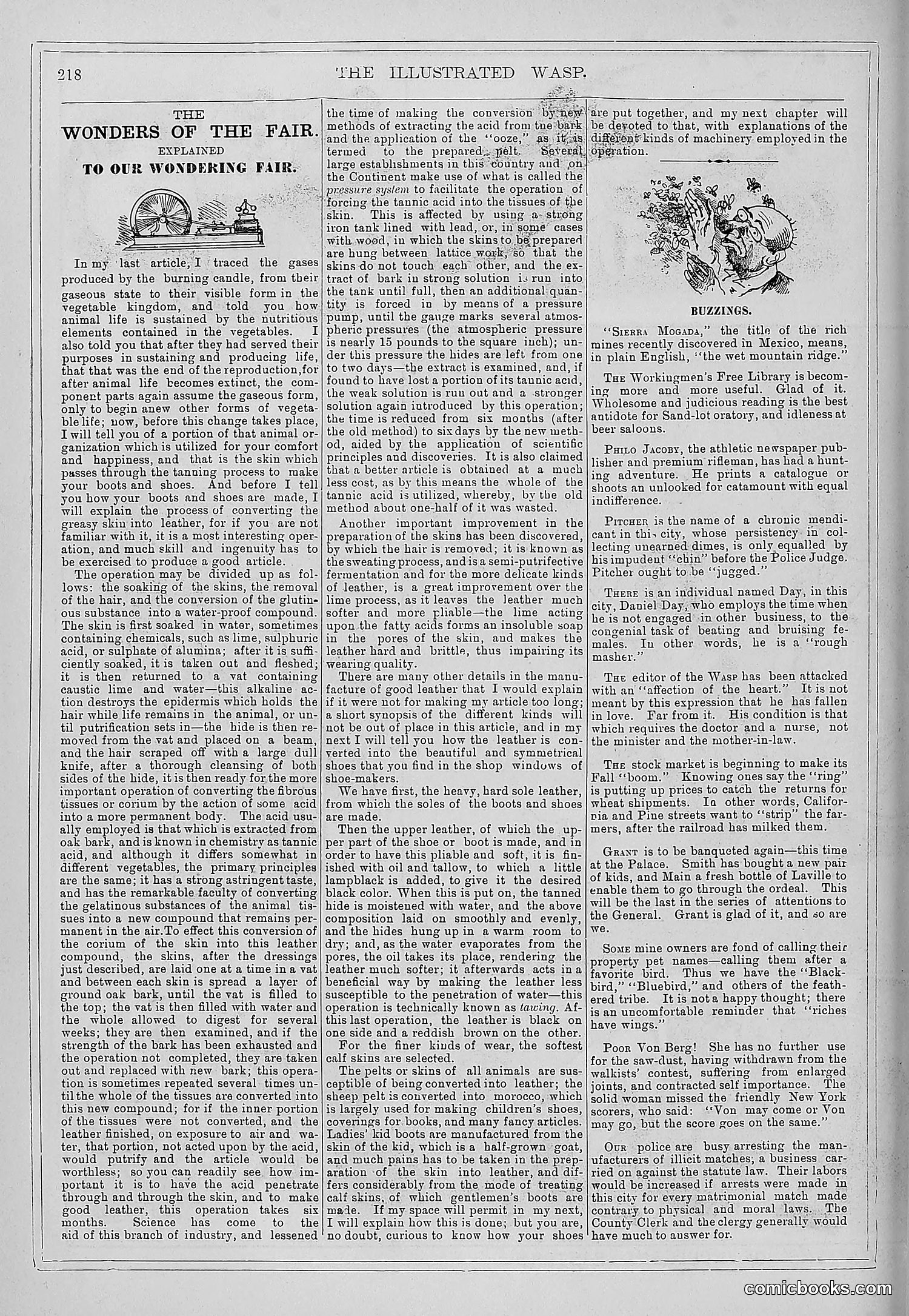 The Wasp — 1879 — page 213 of 846