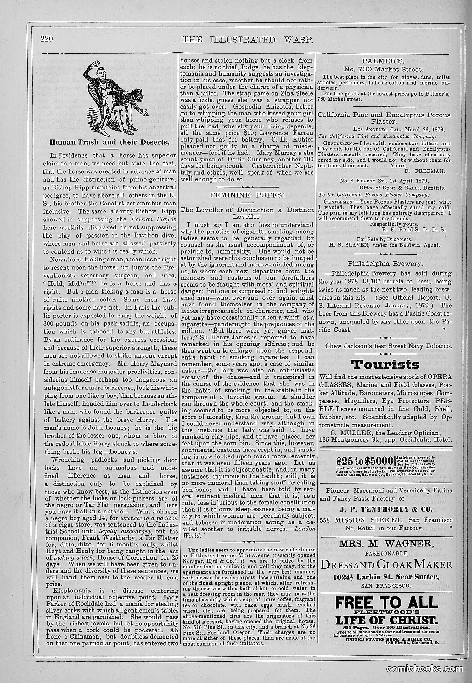 The Wasp — 1879 — page 215 of 846