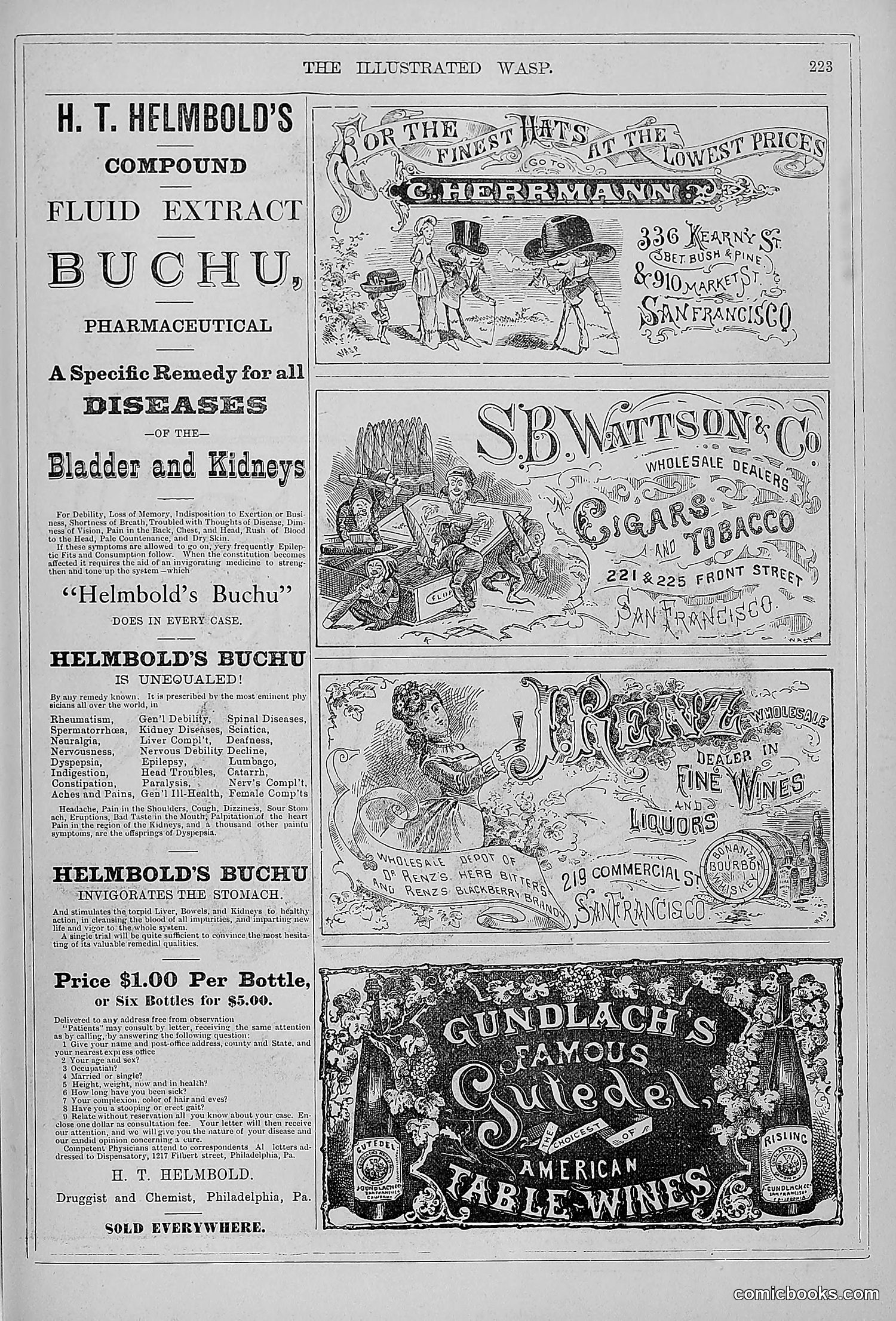 The Wasp — 1879 — page 218 of 846