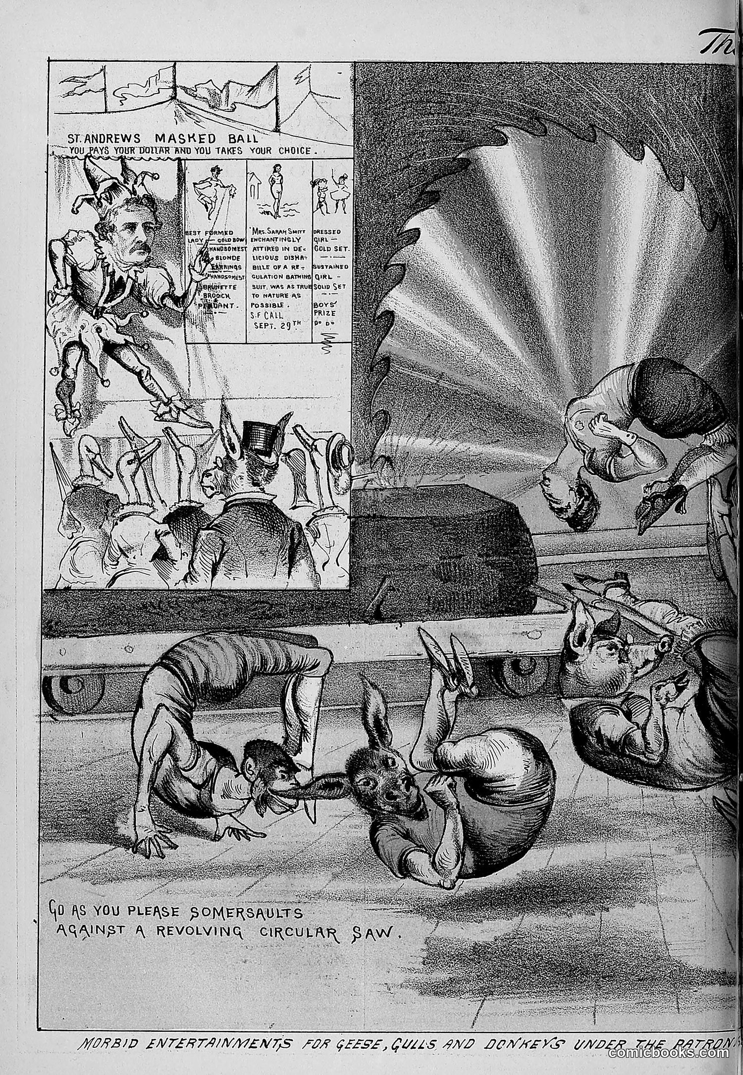 The Wasp — 1879 — page 227 of 846