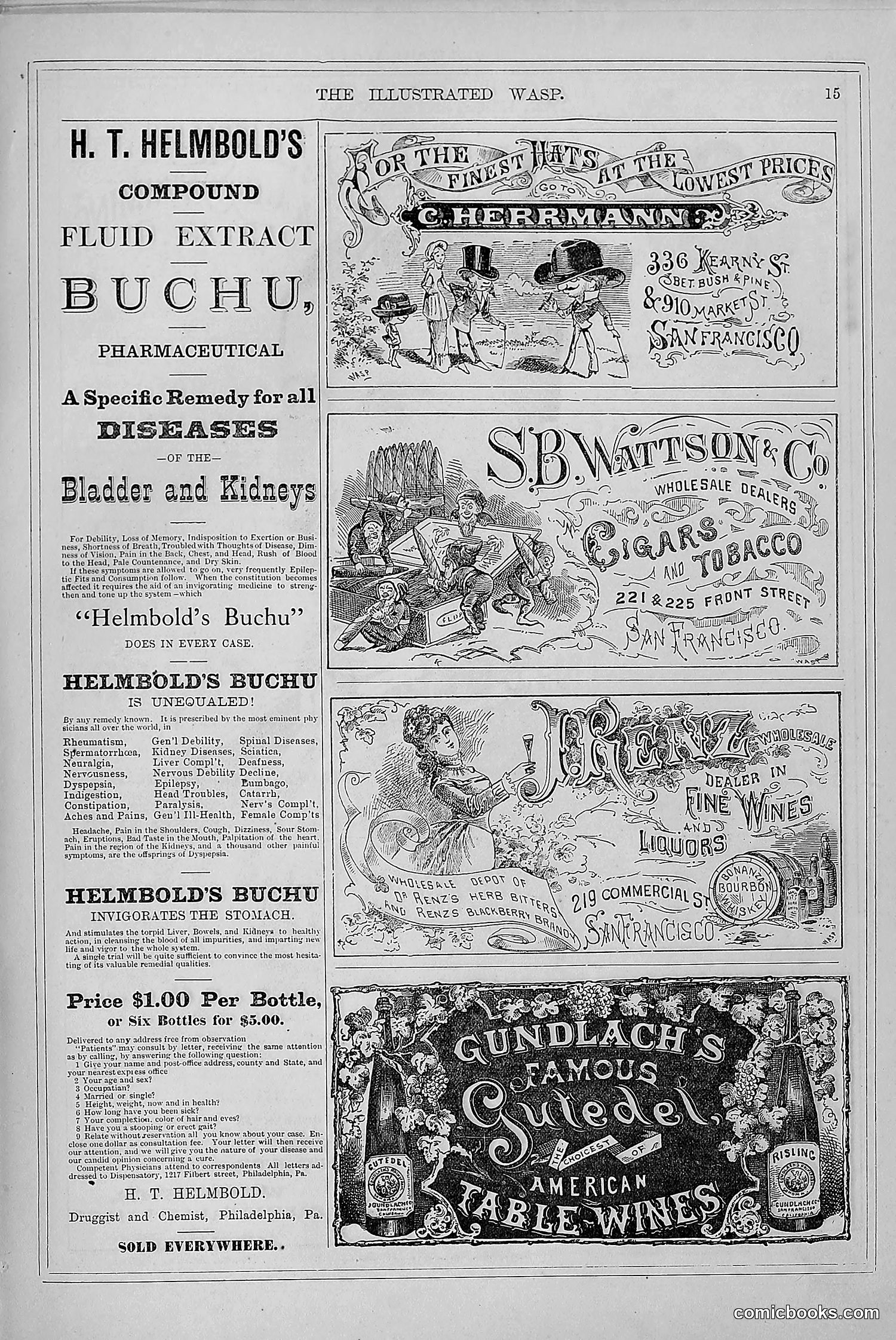 The Wasp — 1879 — page 24 of 846