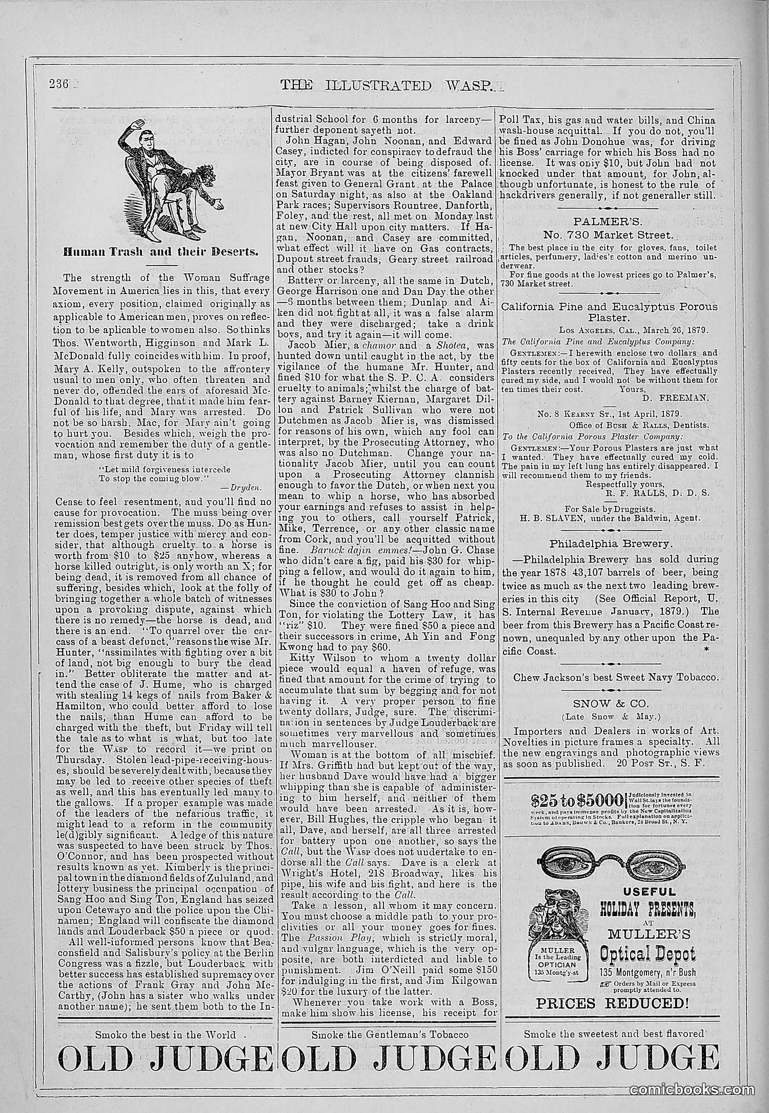 The Wasp — 1879 — page 231 of 846