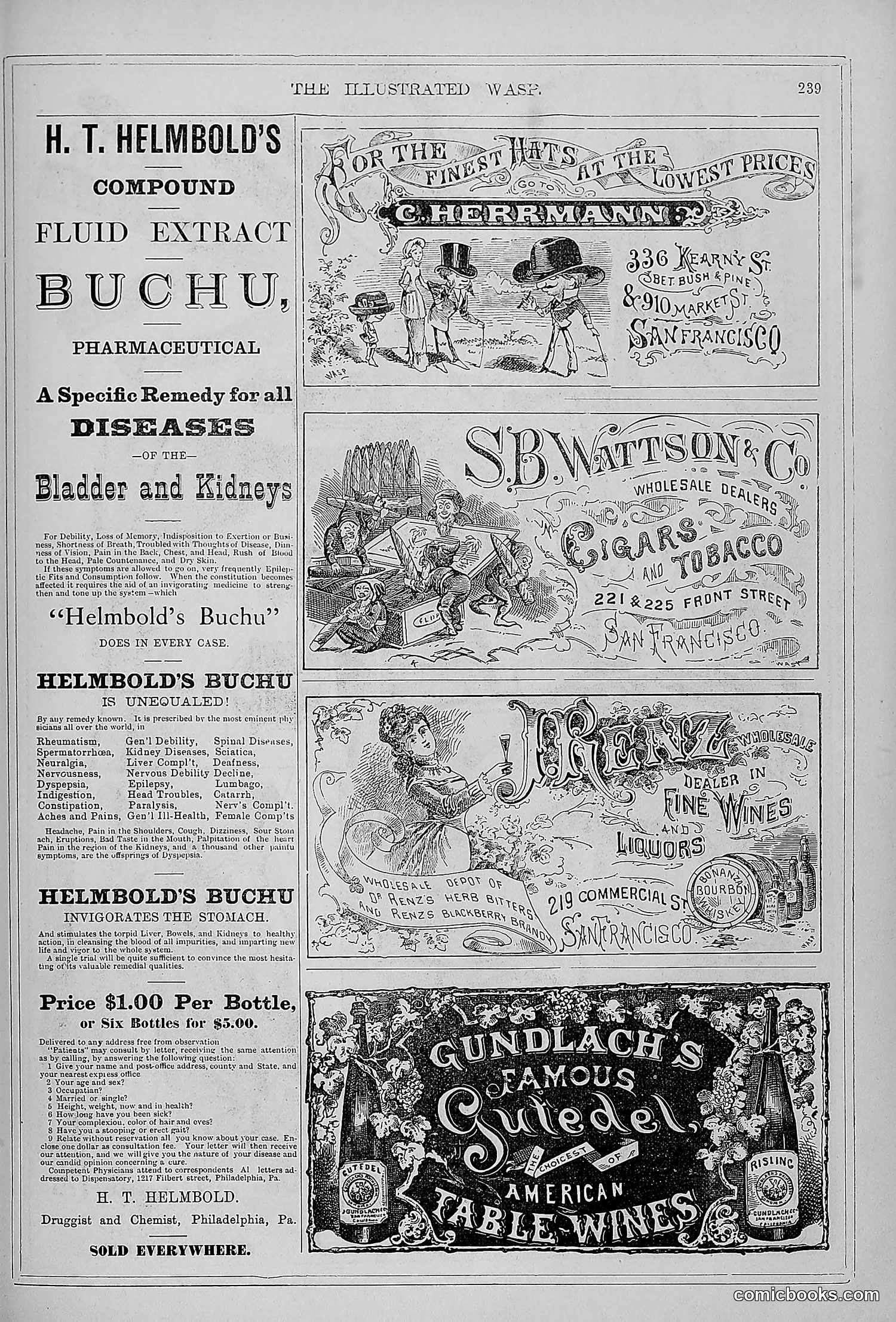 The Wasp — 1879 — page 234 of 846