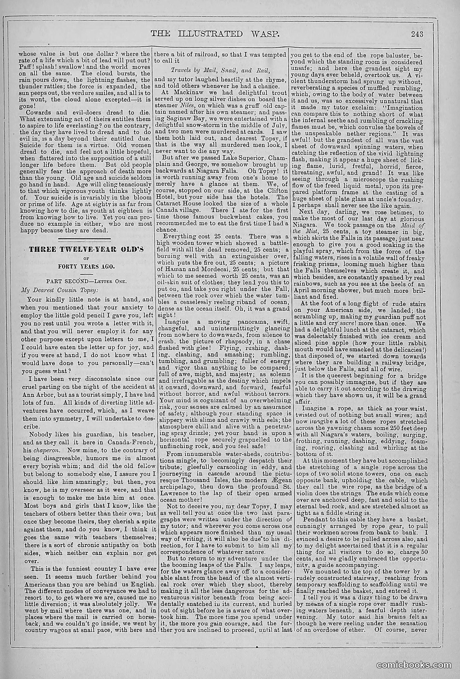 The Wasp — 1879 — page 238 of 846
