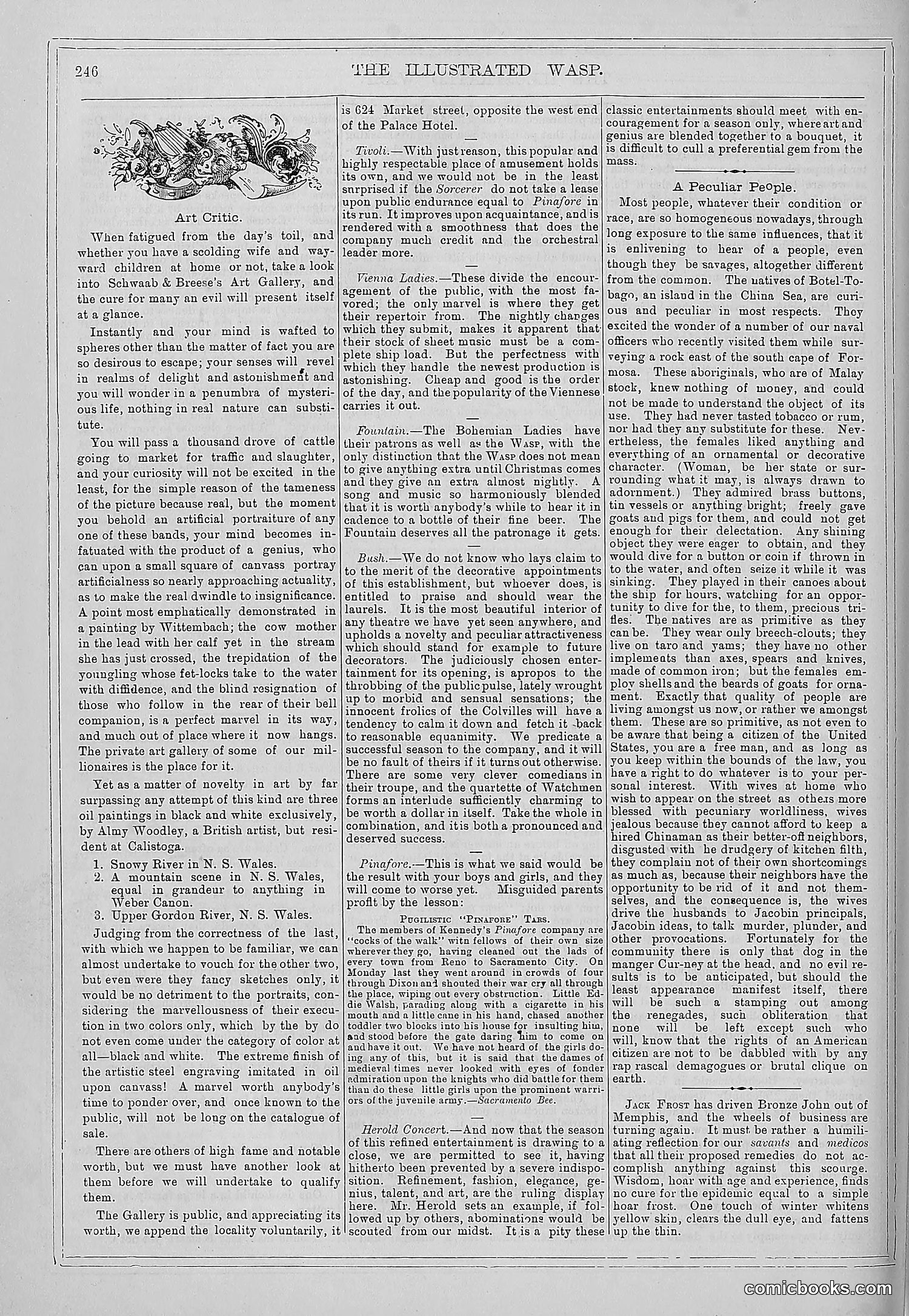 The Wasp — 1879 — page 241 of 846