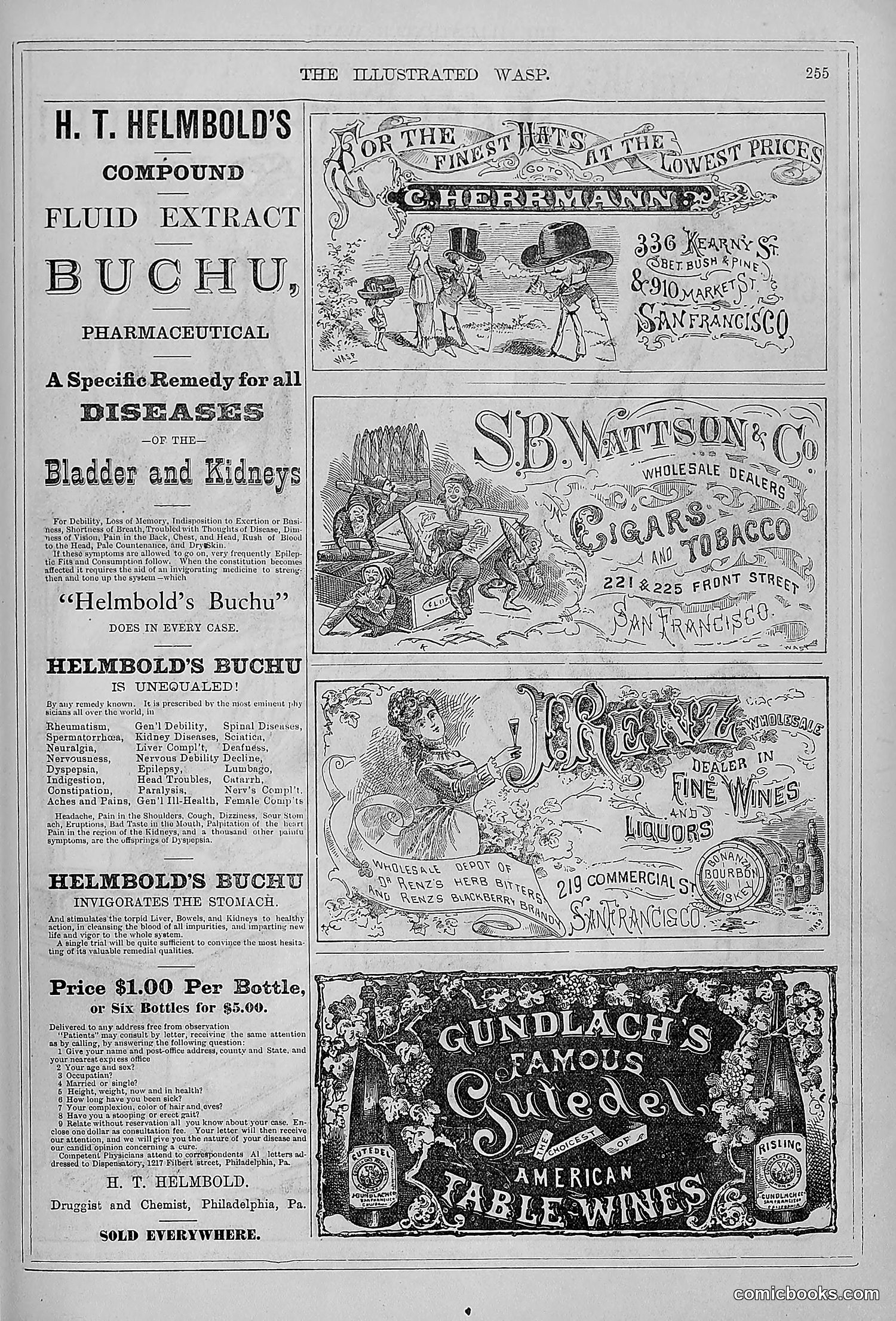 The Wasp — 1879 — page 250 of 846
