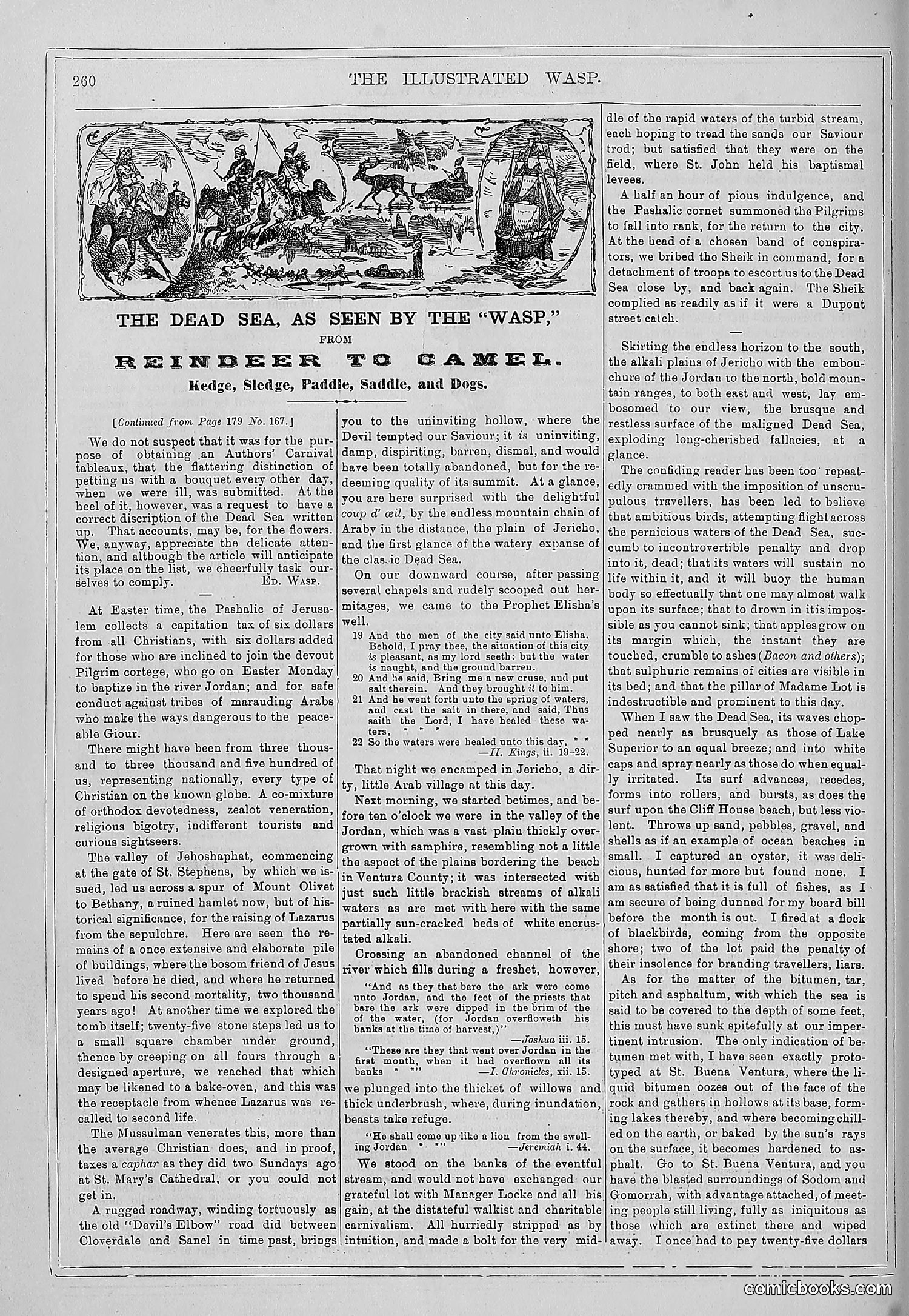 The Wasp — 1879 — page 255 of 846