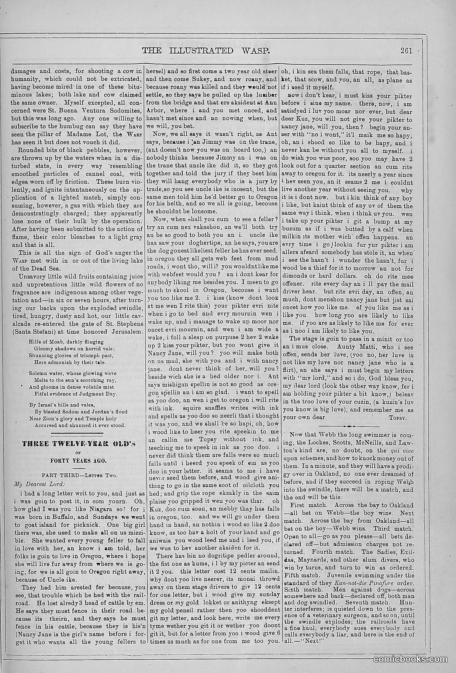 The Wasp — 1879 — page 256 of 846
