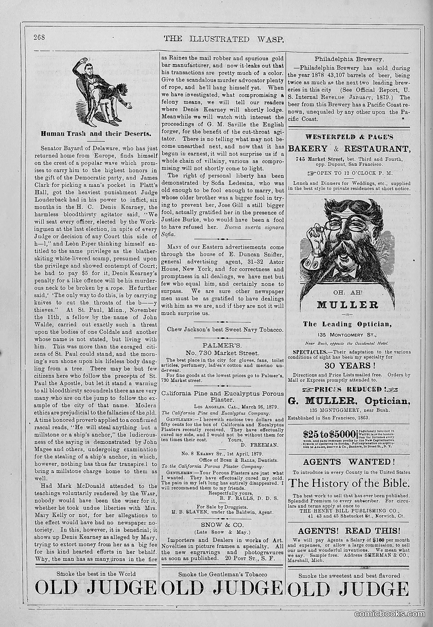 The Wasp — 1879 — page 263 of 846