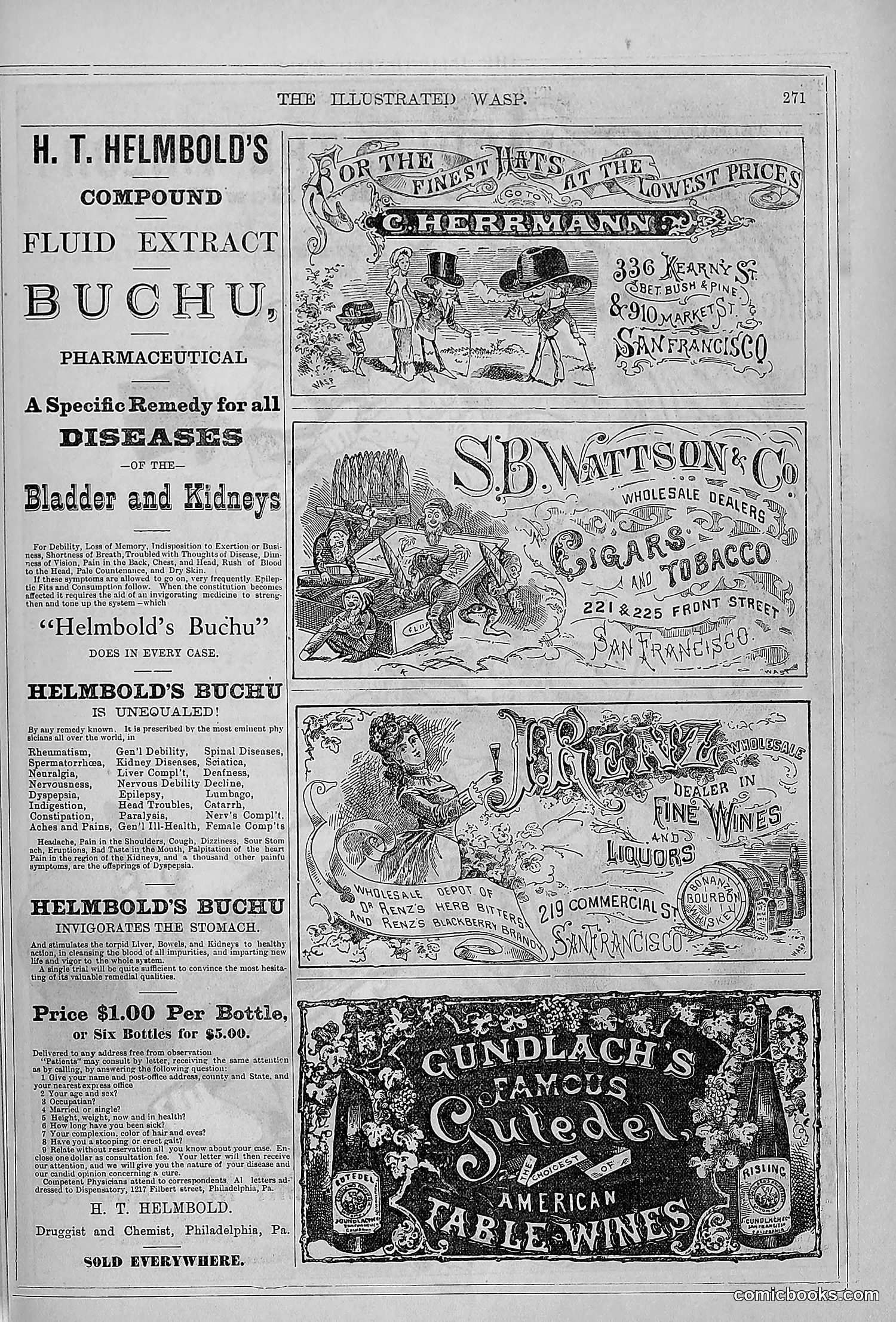 The Wasp — 1879 — page 266 of 846