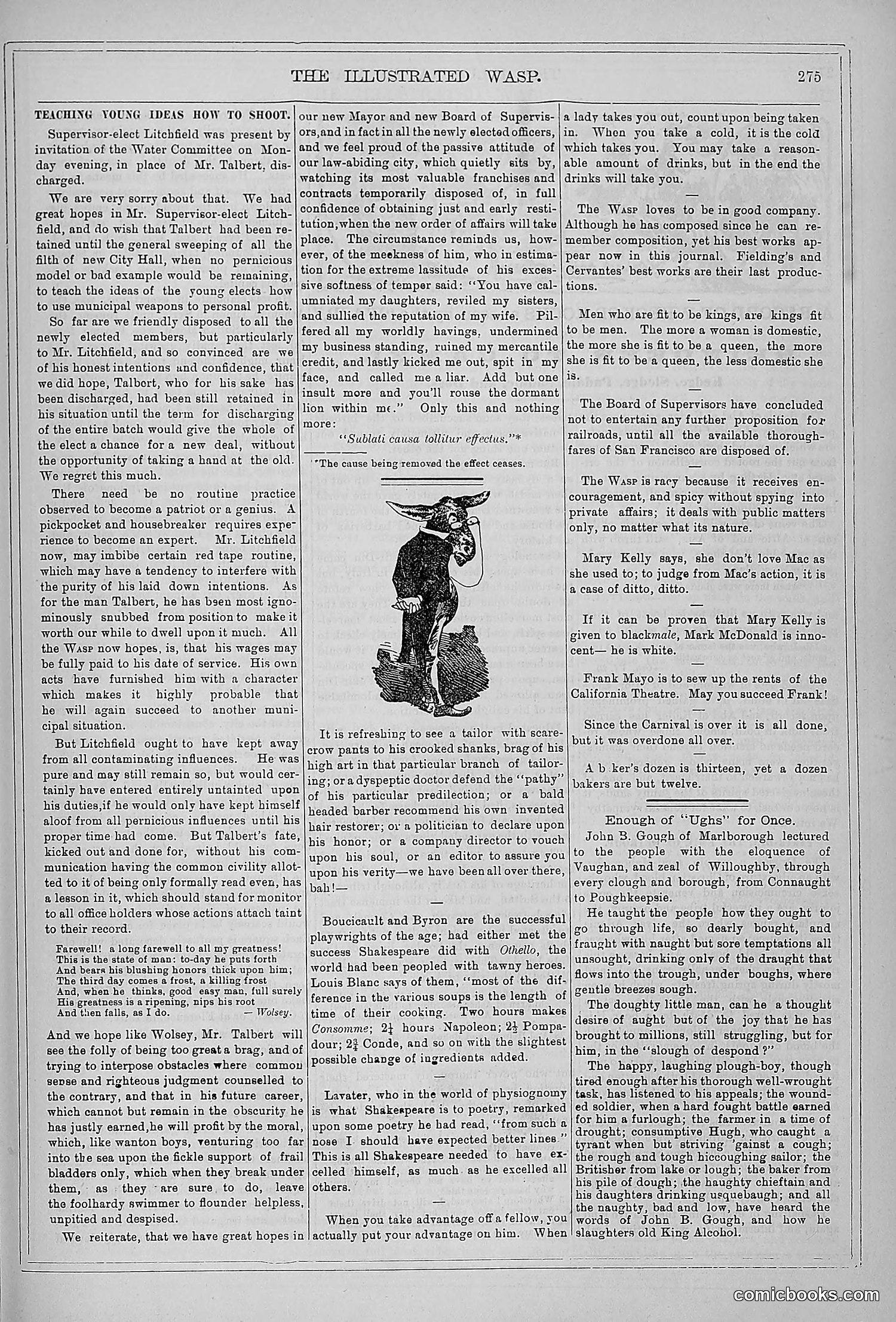 The Wasp — 1879 — page 270 of 846