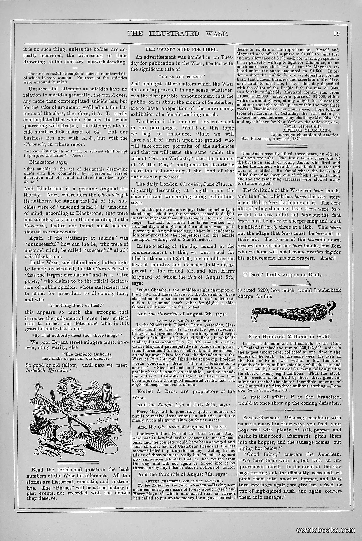 The Wasp — 1879 — page 28 of 846