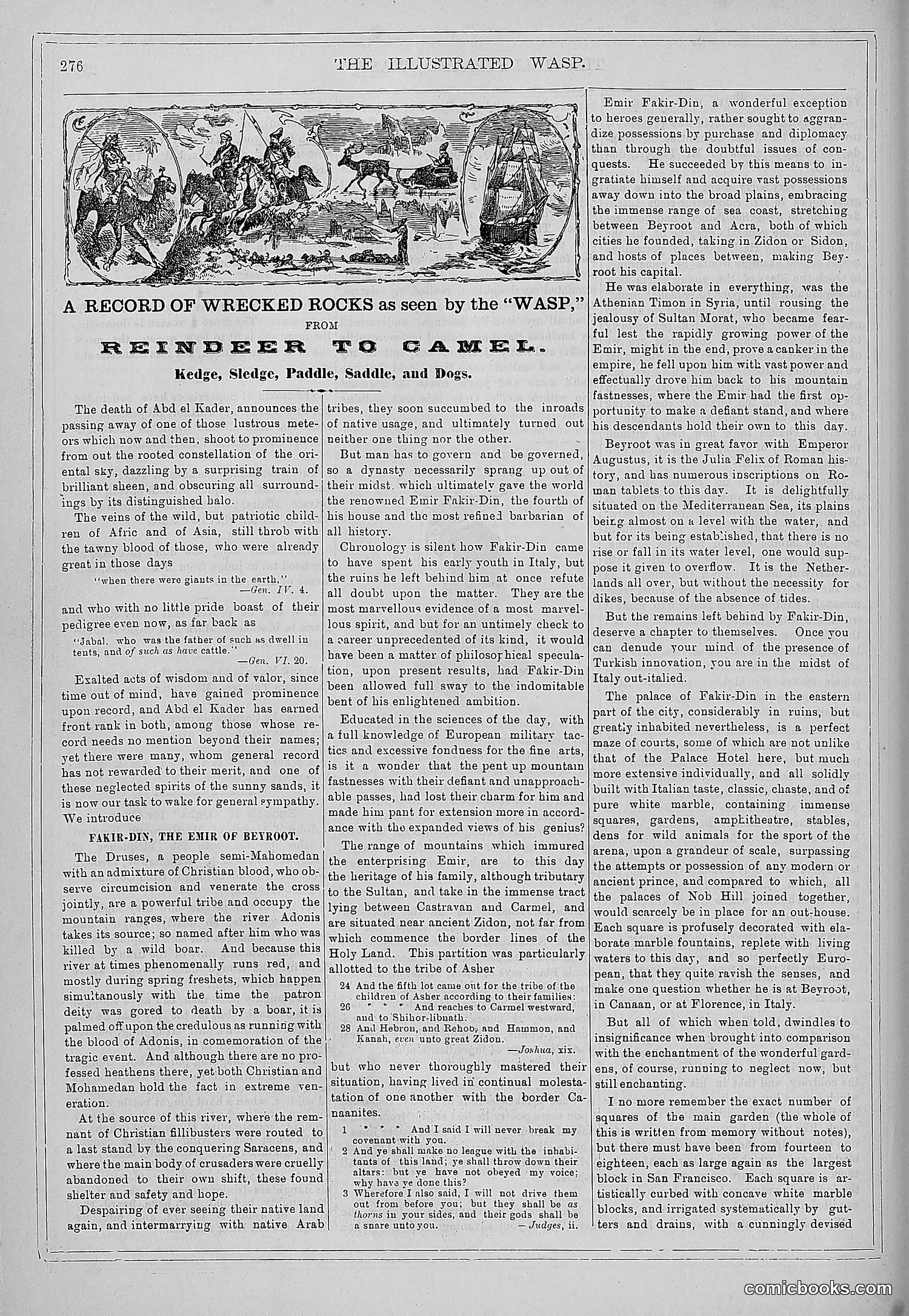 The Wasp — 1879 — page 271 of 846