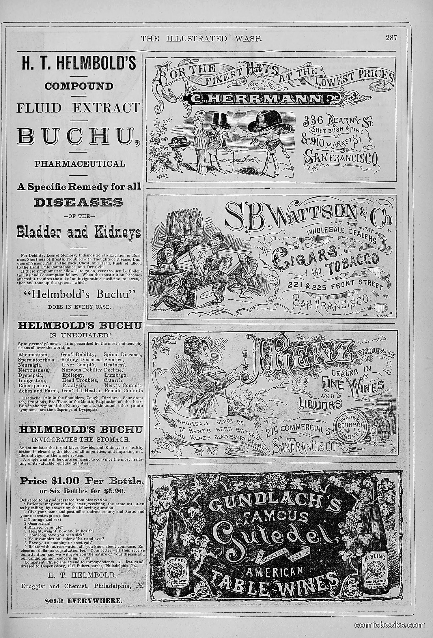 The Wasp — 1879 — page 282 of 846