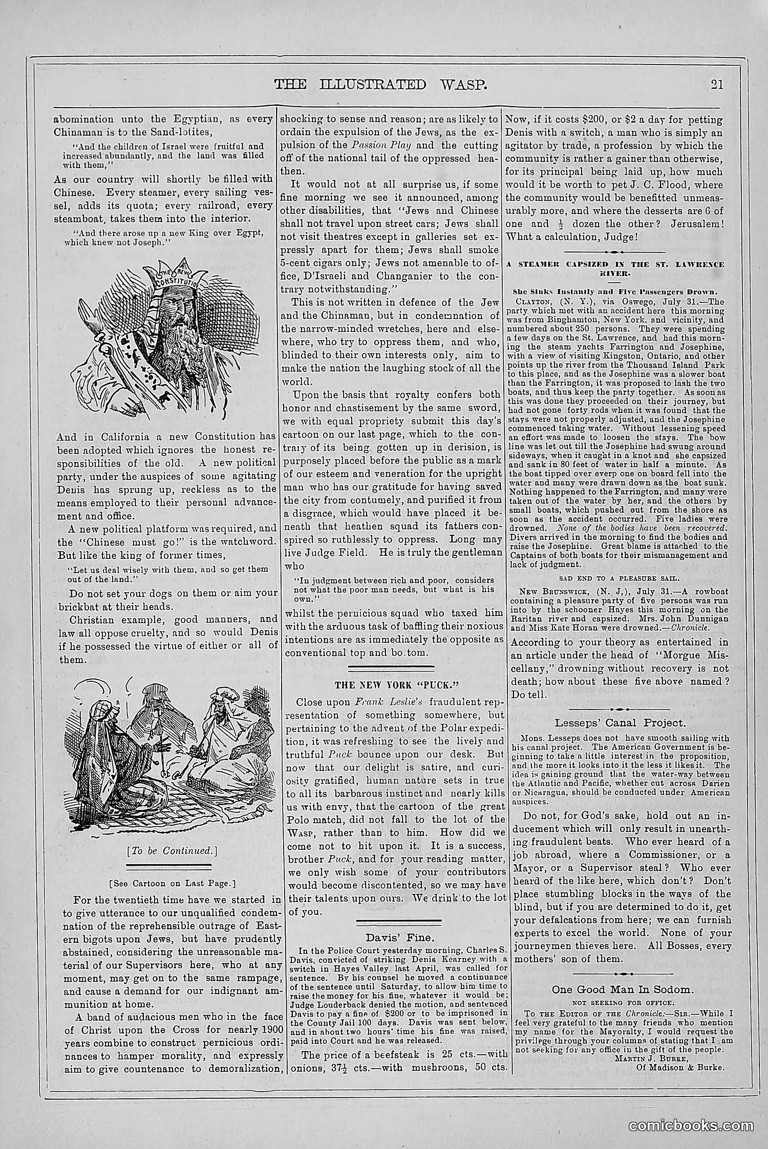 The Wasp — 1879 — page 30 of 846