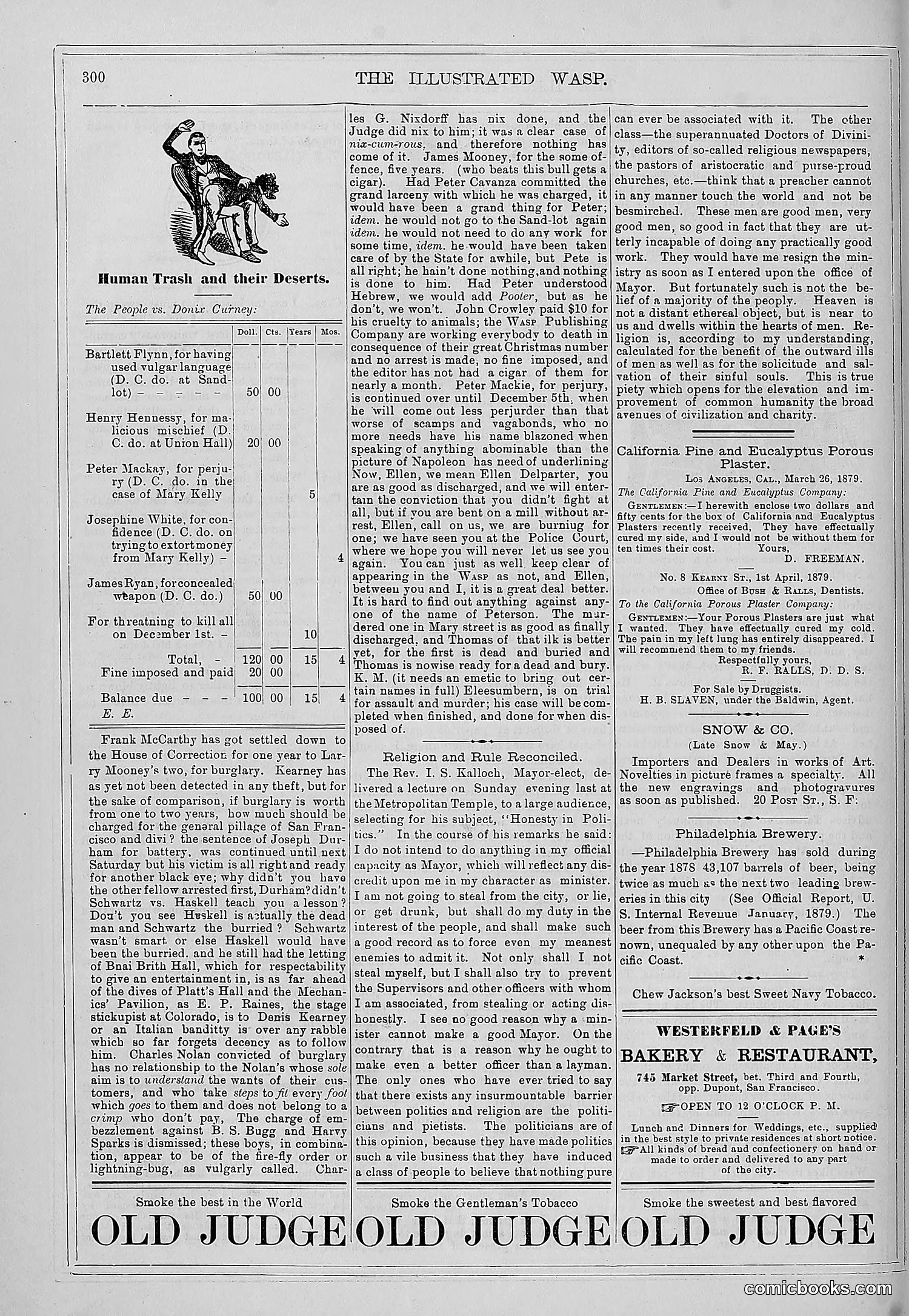 The Wasp — 1879 — page 295 of 846