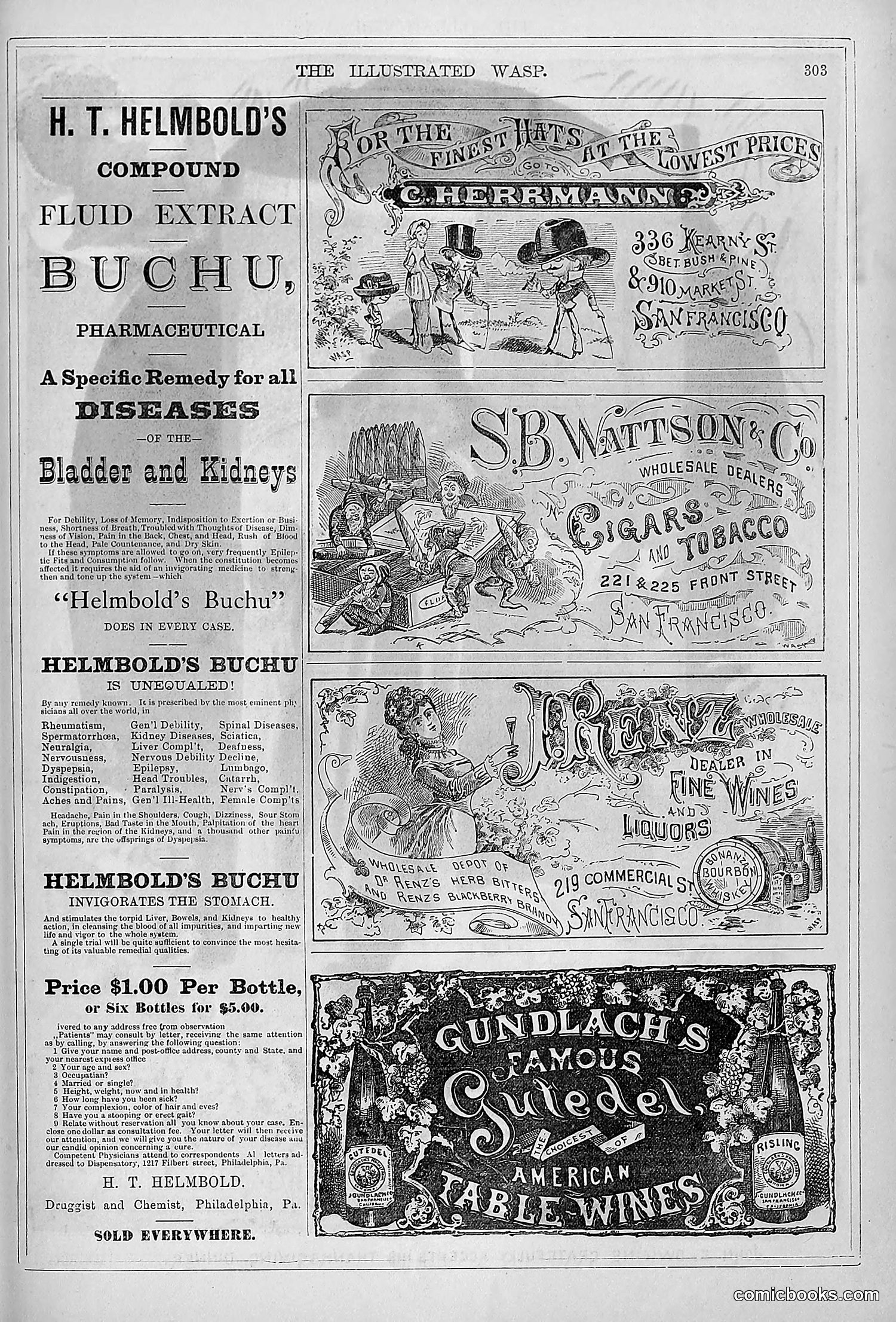 The Wasp — 1879 — page 298 of 846
