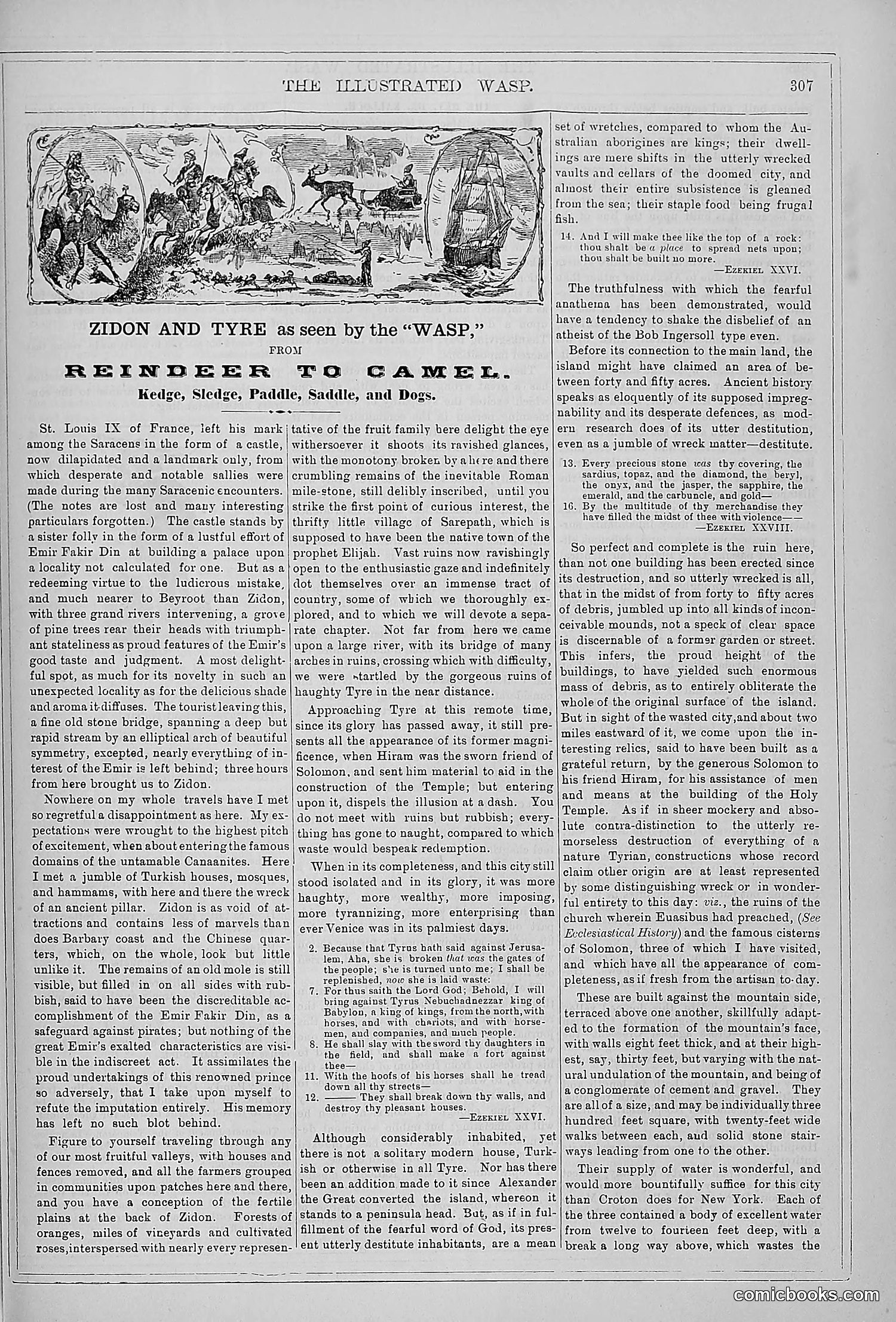 The Wasp — 1879 — page 302 of 846