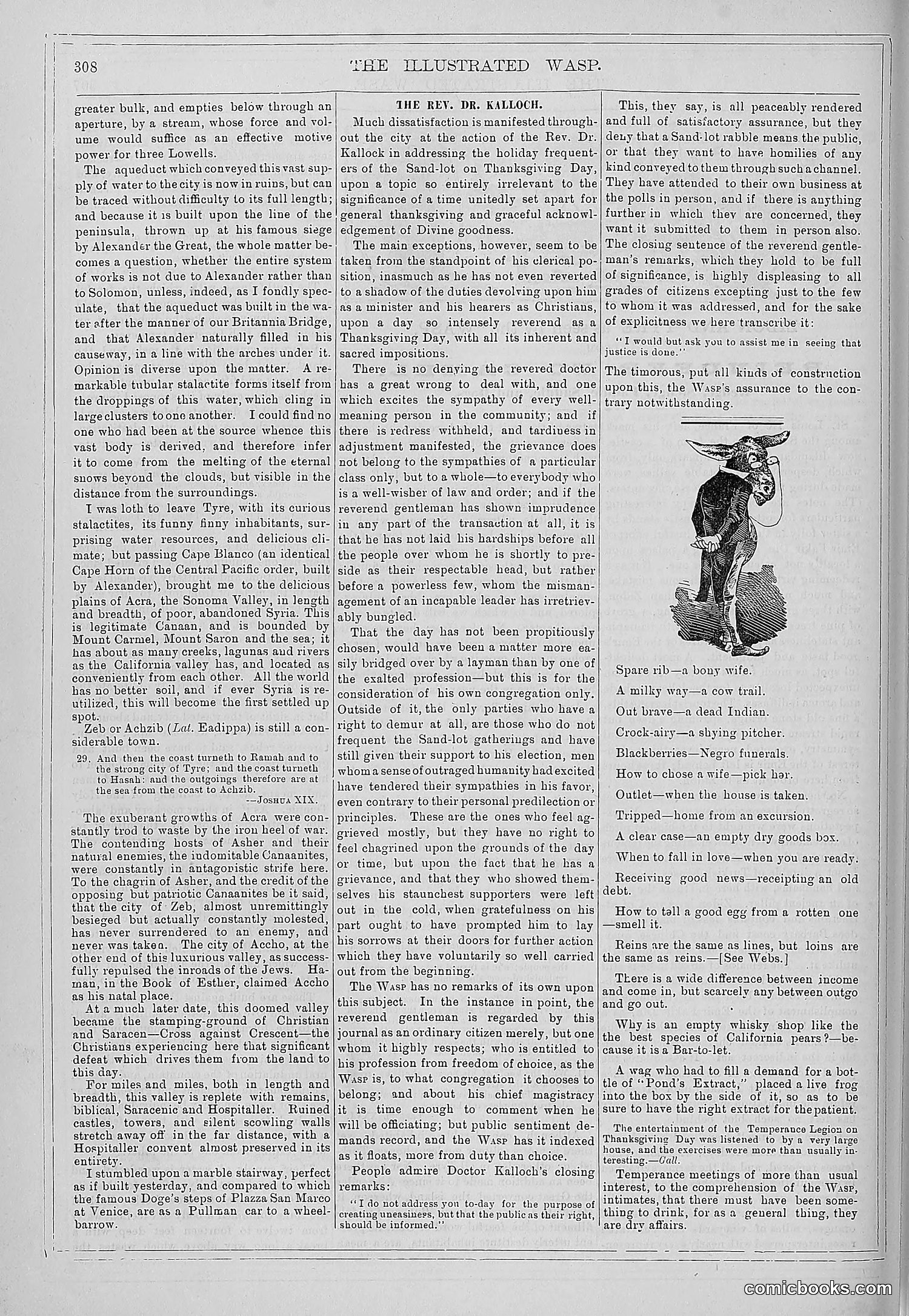 The Wasp — 1879 — page 303 of 846