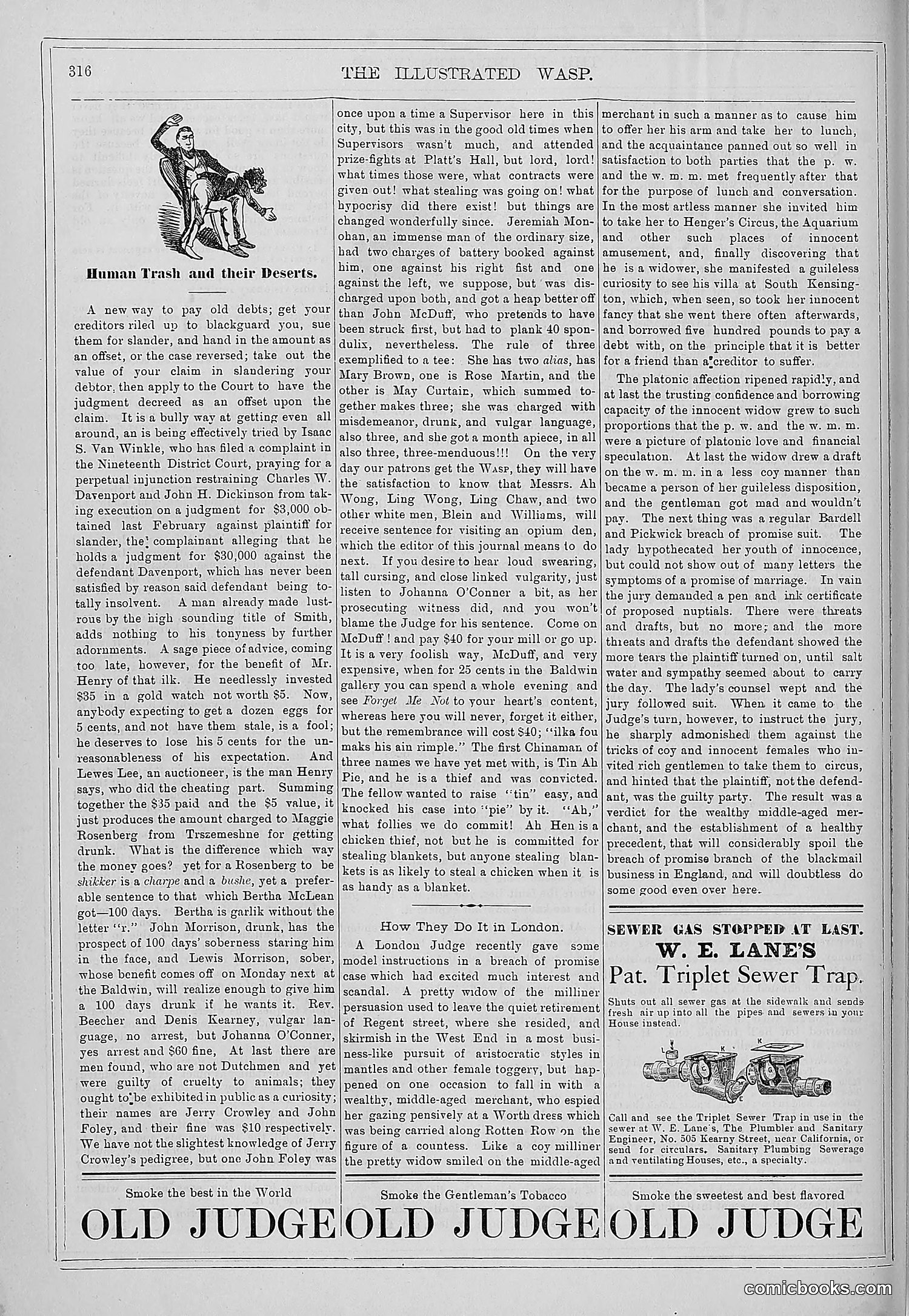 The Wasp — 1879 — page 311 of 846