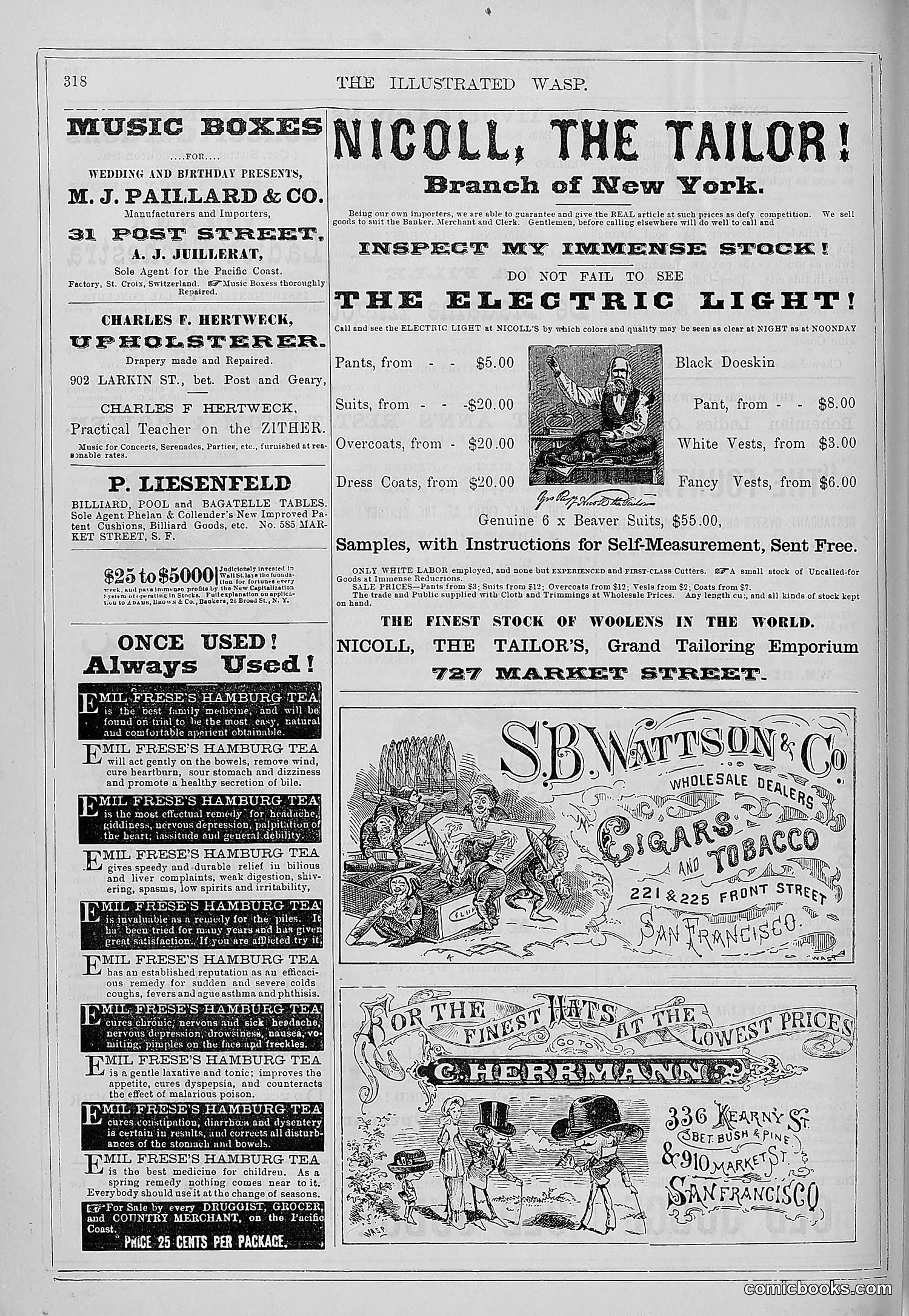 The Wasp — 1879 — page 313 of 846