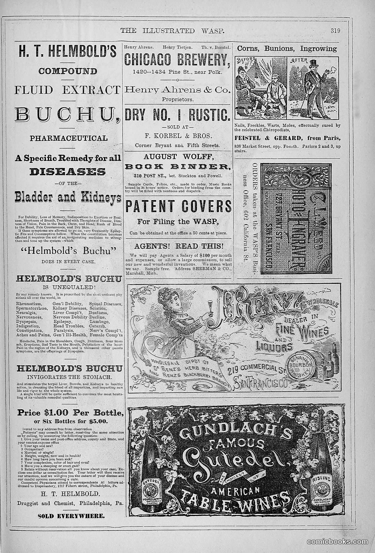 The Wasp — 1879 — page 314 of 846