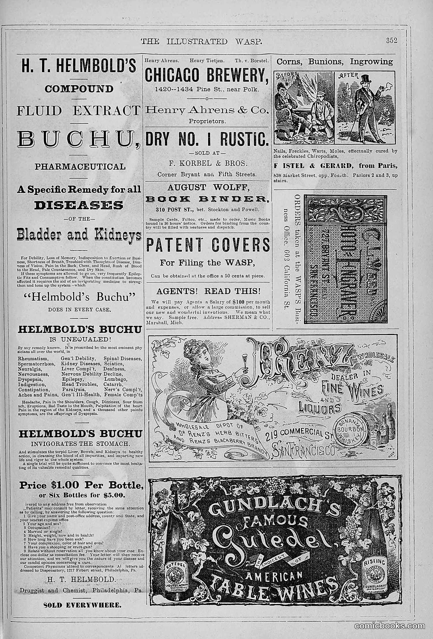 The Wasp — 1879 — page 346 of 846