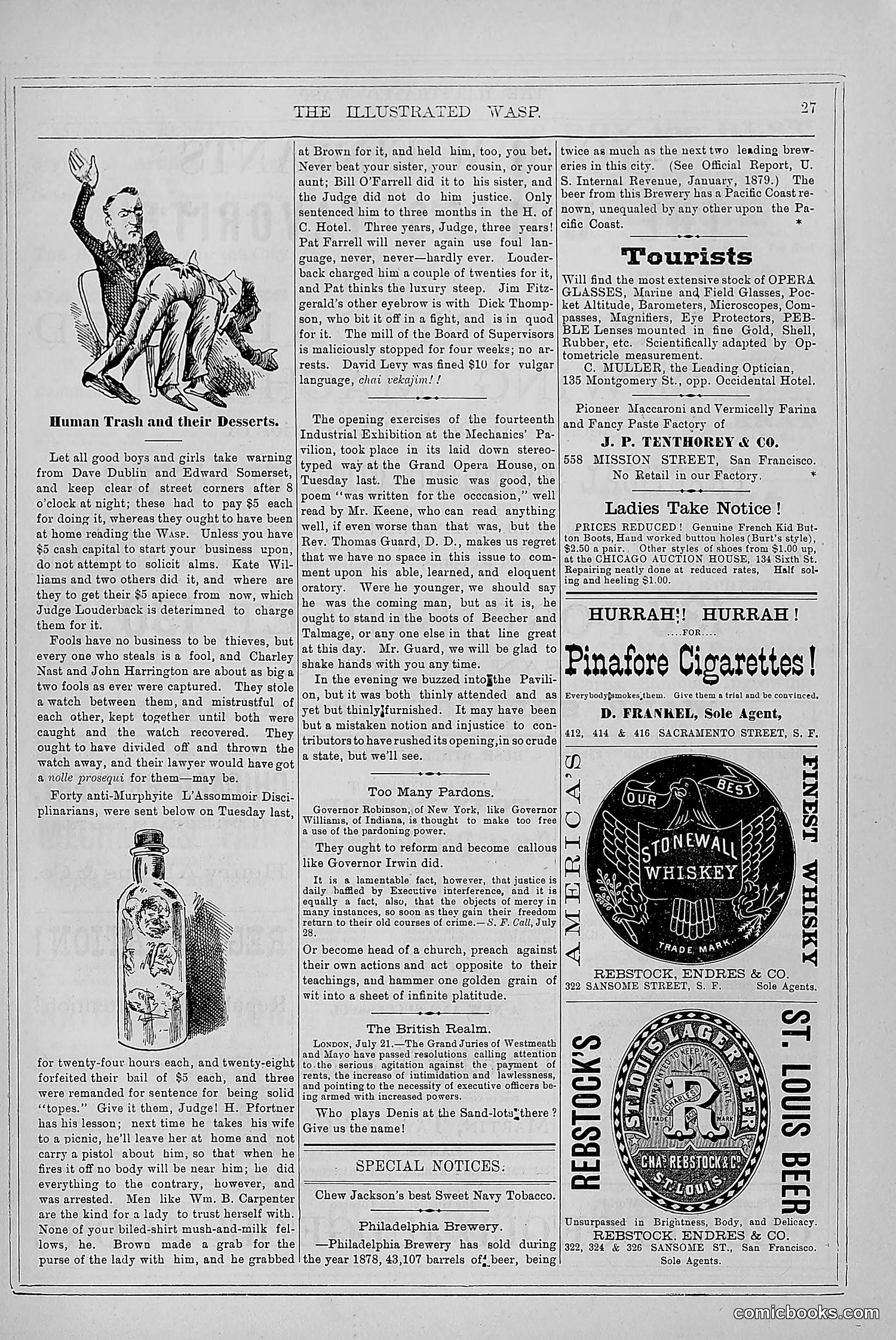 The Wasp — 1879 — page 36 of 846