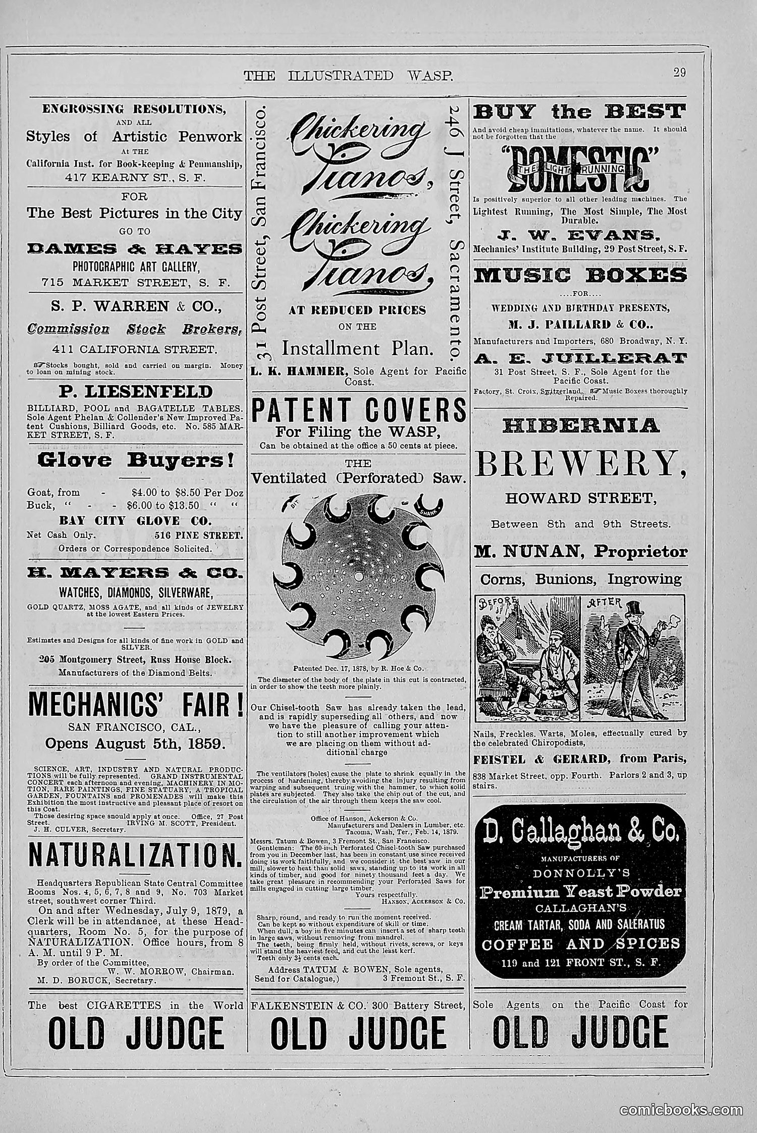 The Wasp — 1879 — page 38 of 846