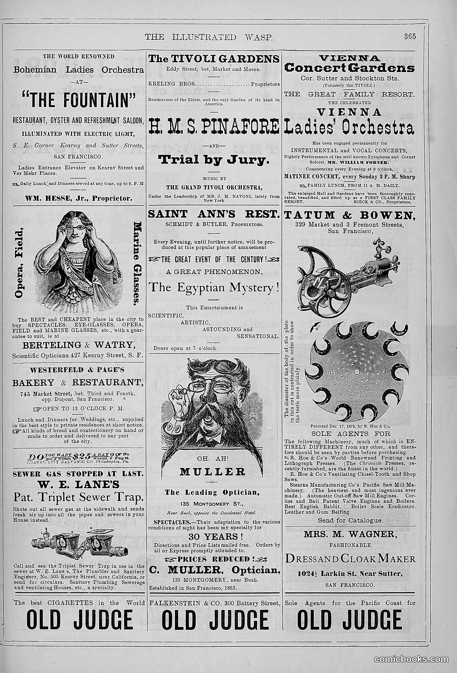 The Wasp — 1879 — page 372 of 846