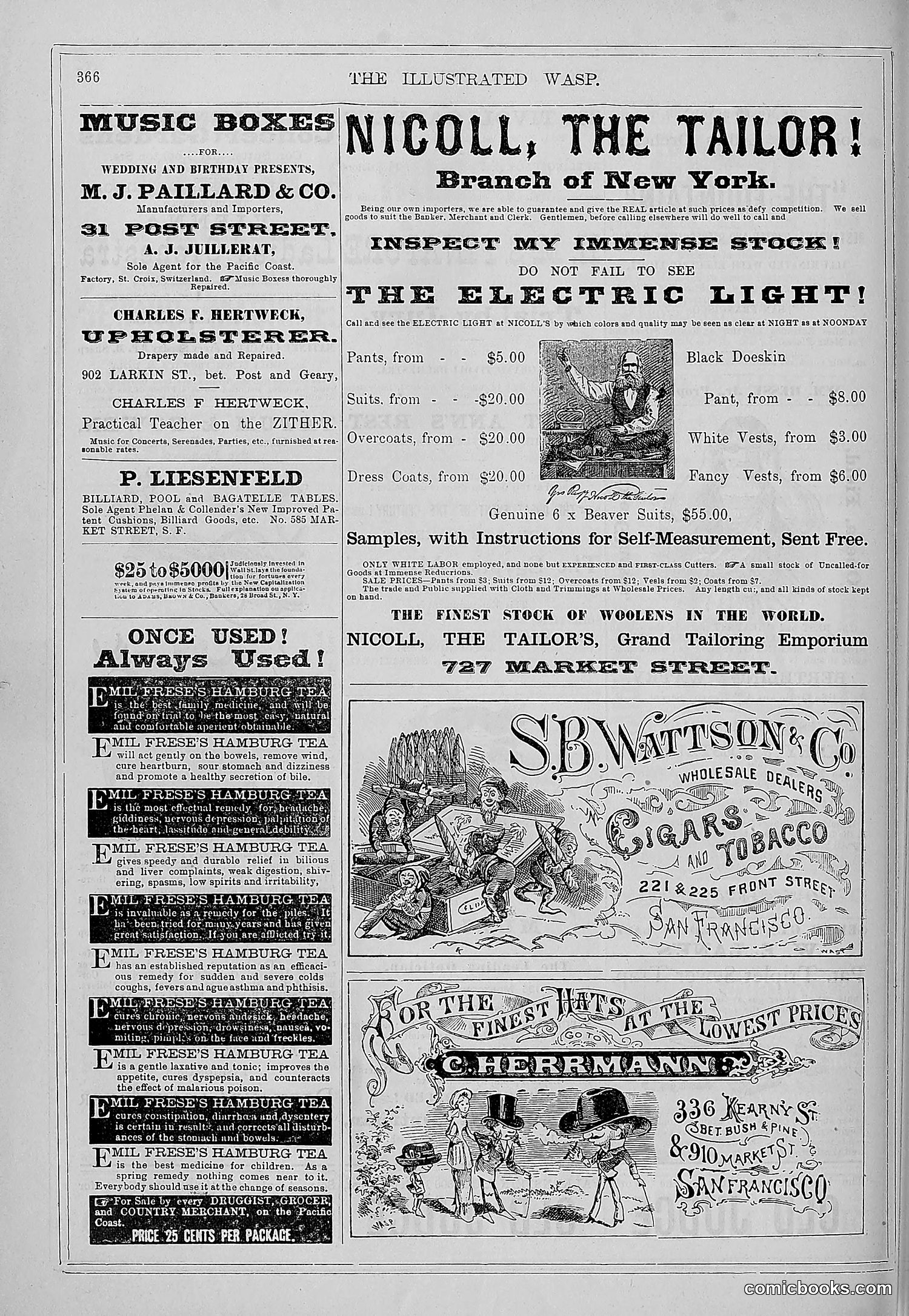 The Wasp — 1879 — page 373 of 846