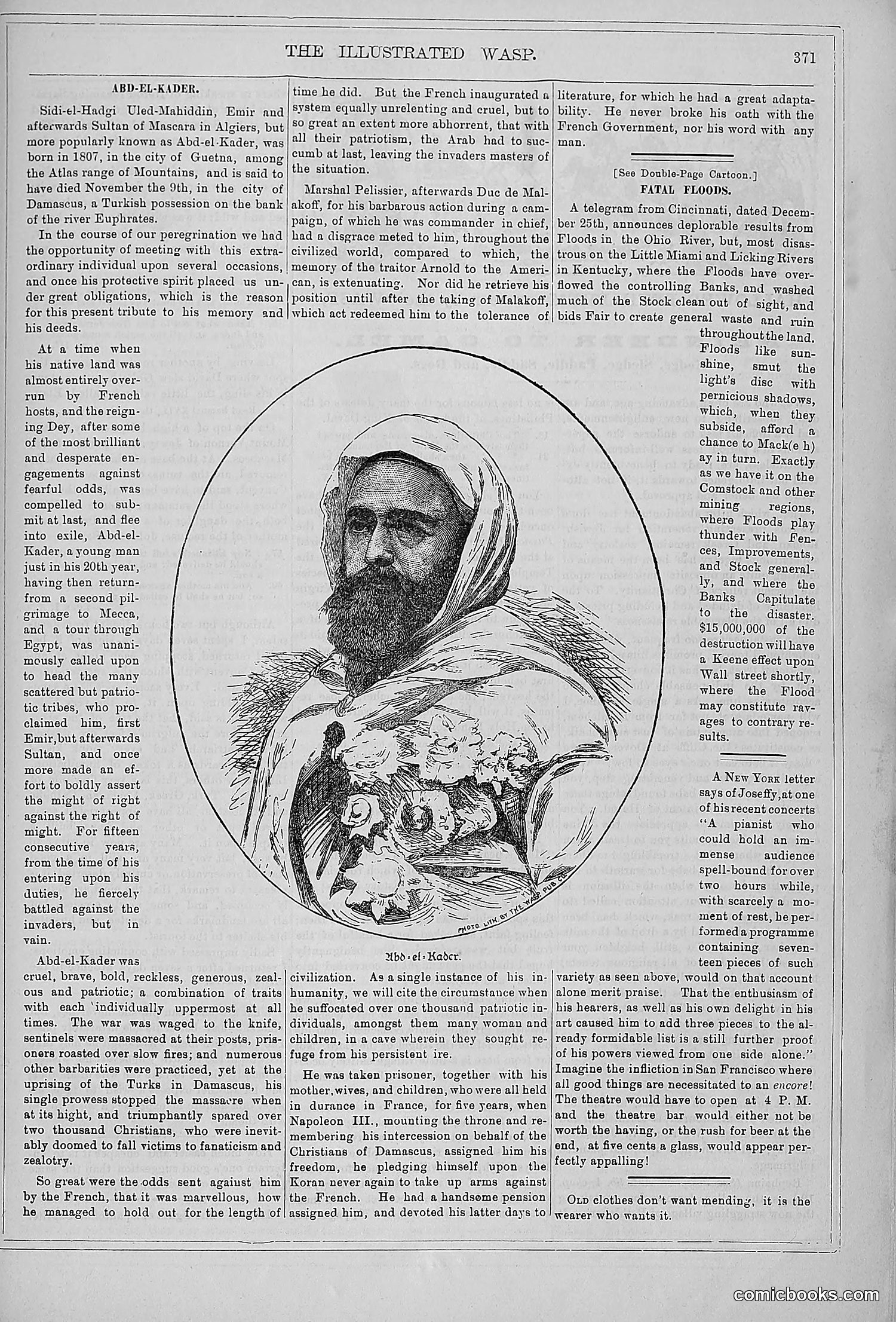 The Wasp — 1879 — page 378 of 846