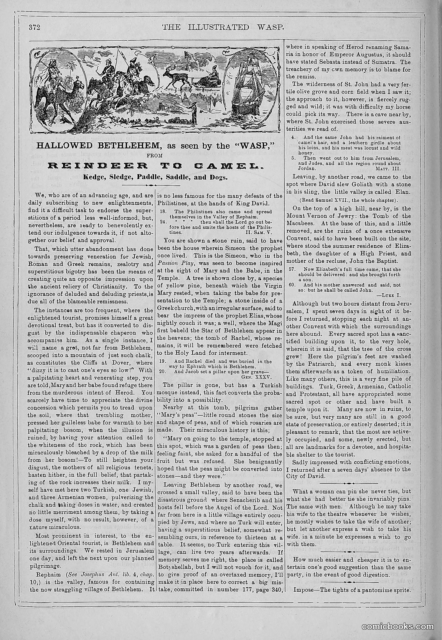 The Wasp — 1879 — page 379 of 846