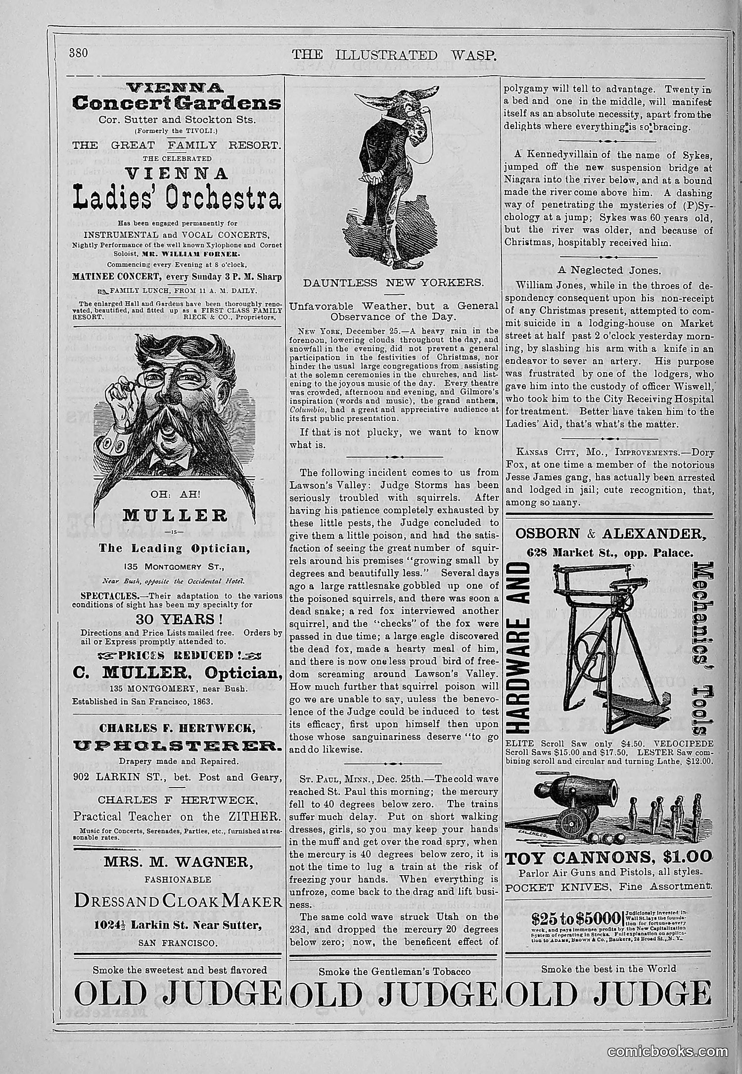 The Wasp — 1879 — page 387 of 846