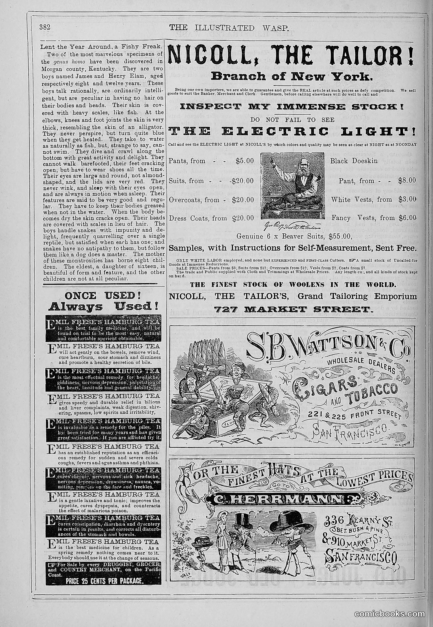 The Wasp — 1879 — page 389 of 846