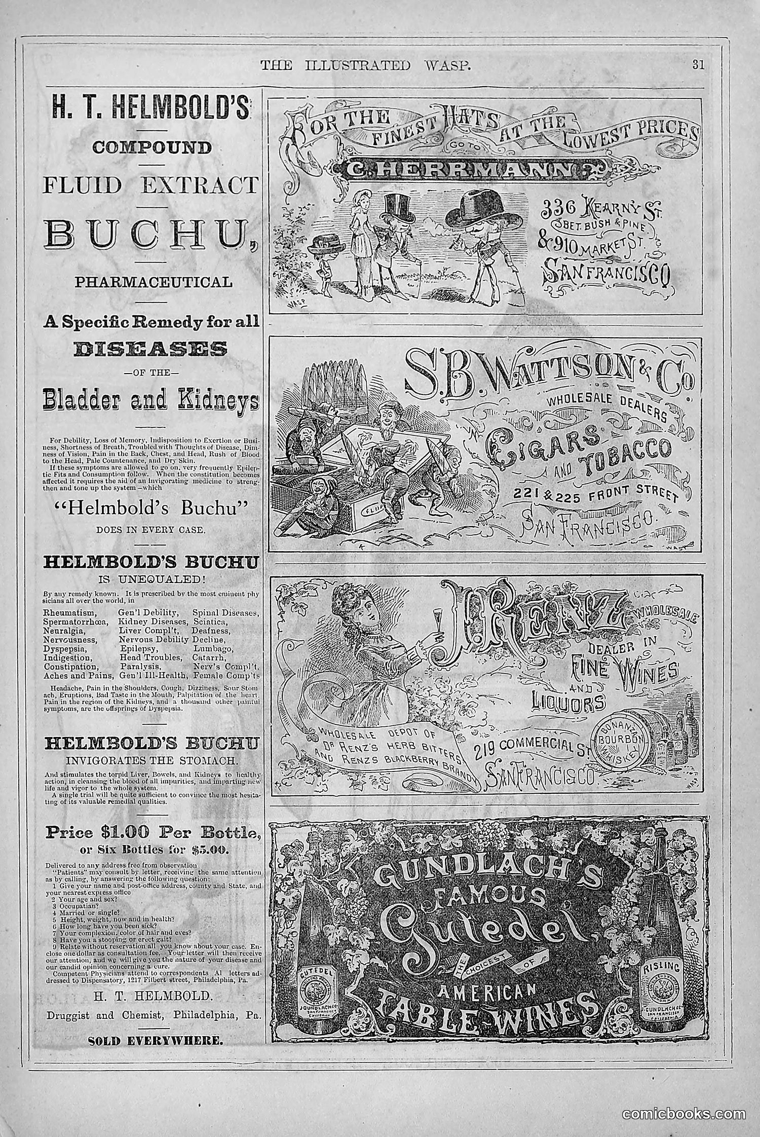 The Wasp — 1879 — page 40 of 846