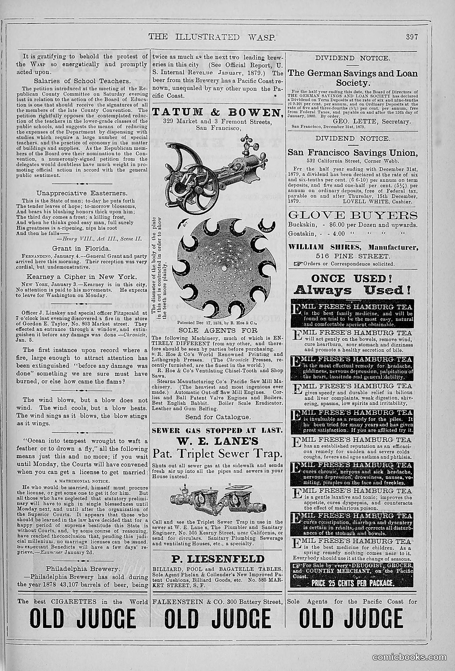 The Wasp — 1879 — page 404 of 846