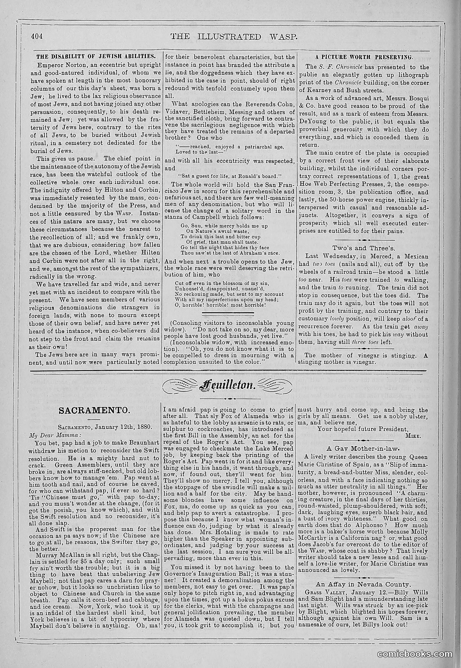 The Wasp — 1879 — page 411 of 846
