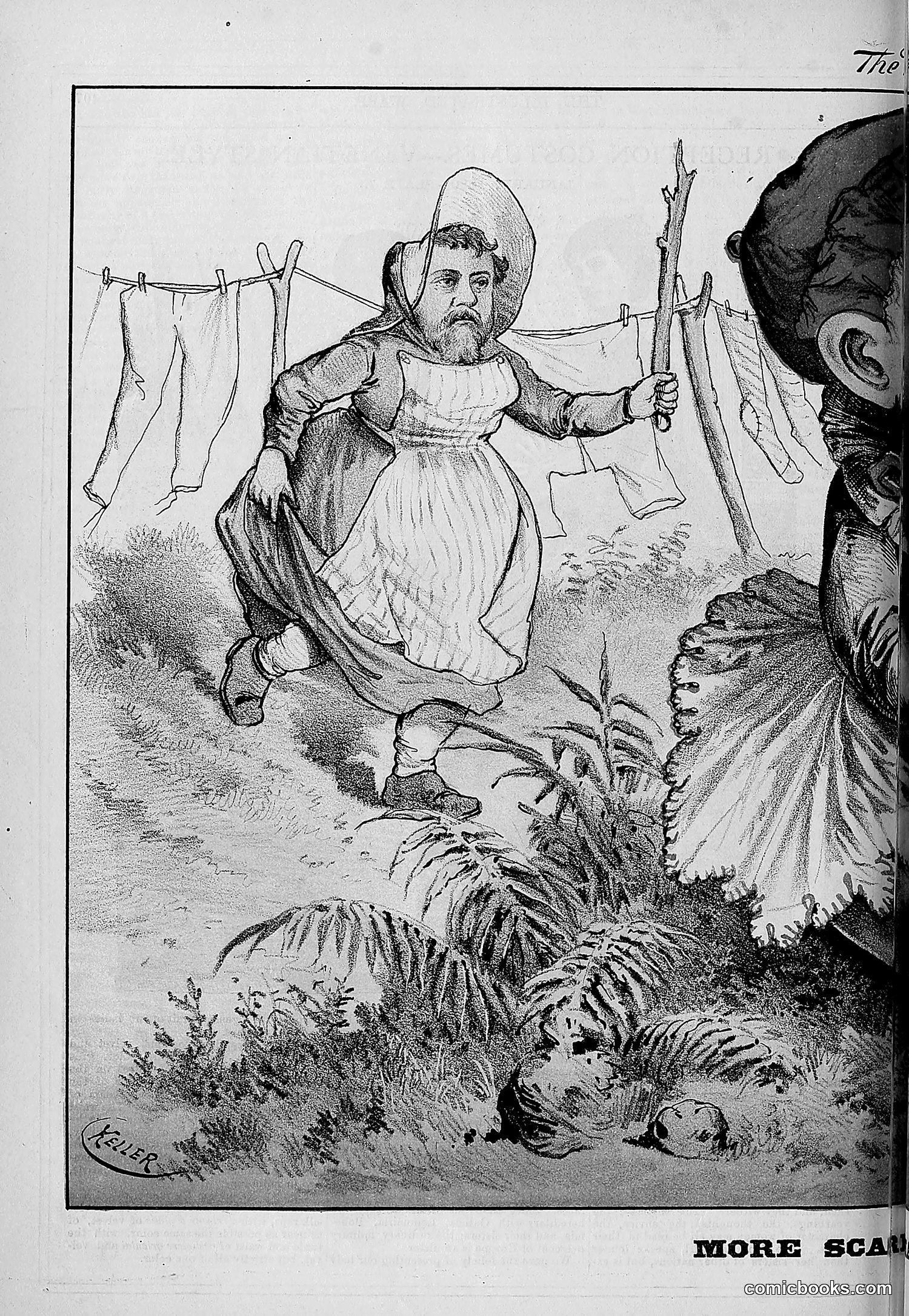 The Wasp — 1879 — page 415 of 846