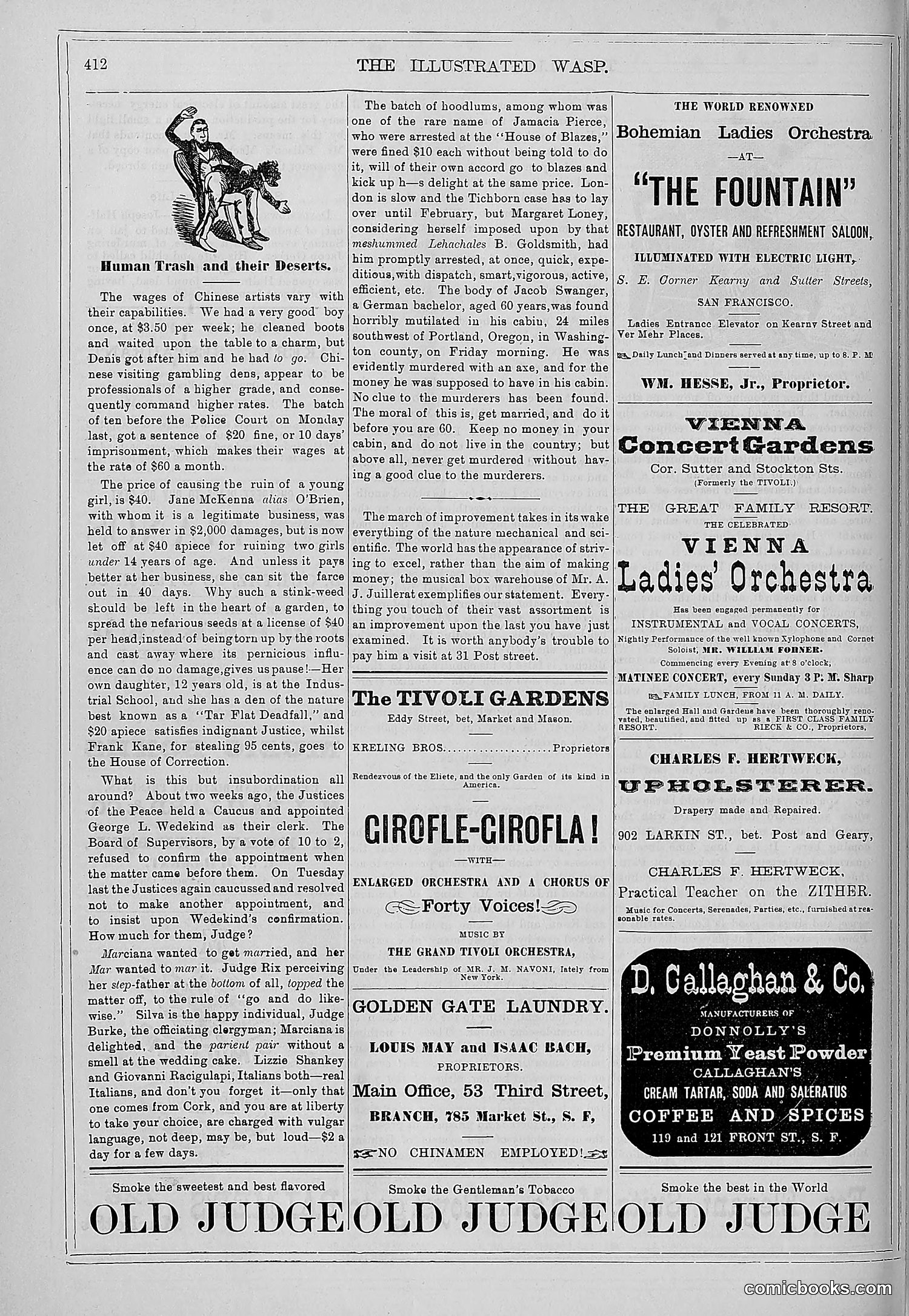 The Wasp — 1879 — page 419 of 846