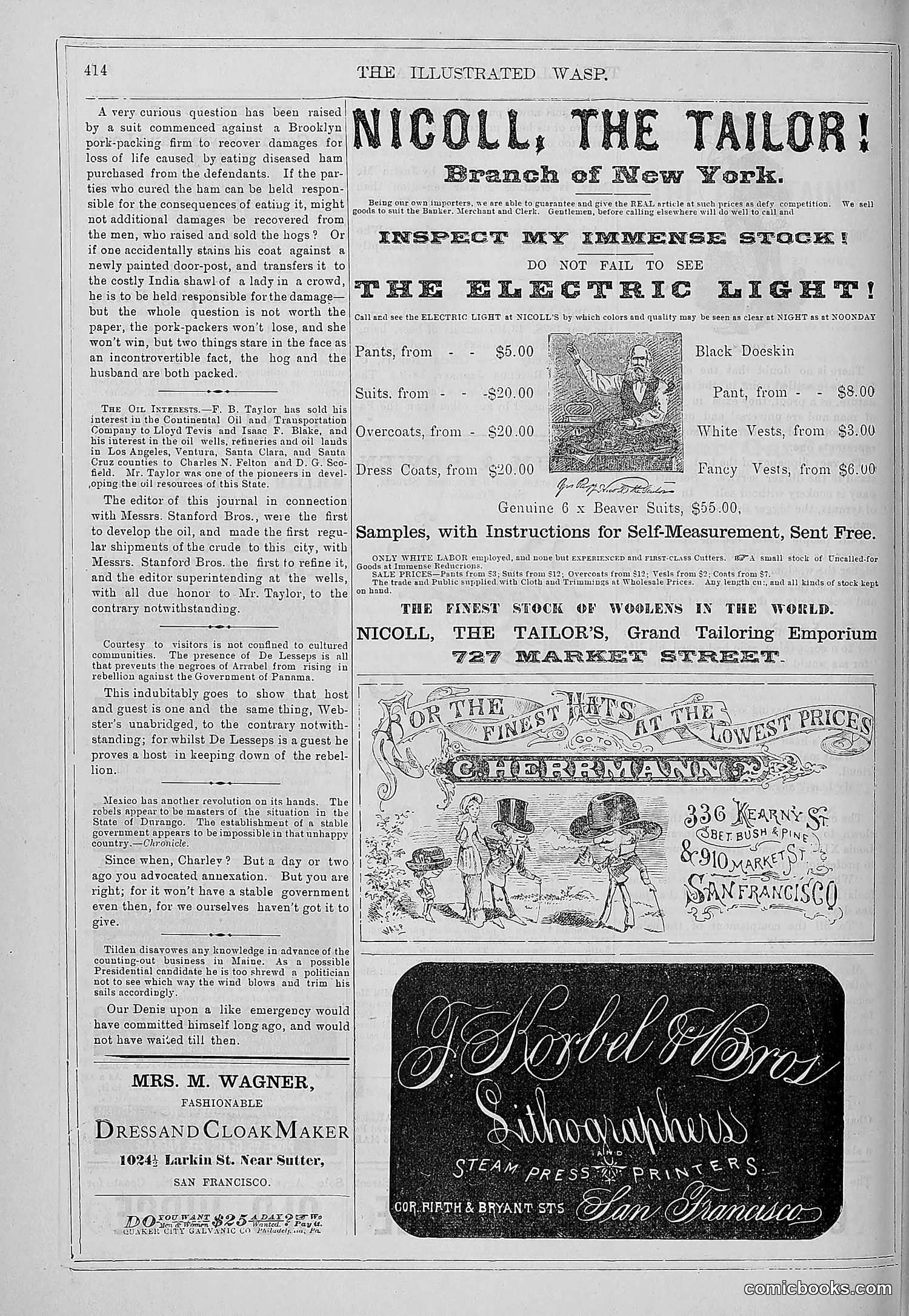 The Wasp — 1879 — page 421 of 846
