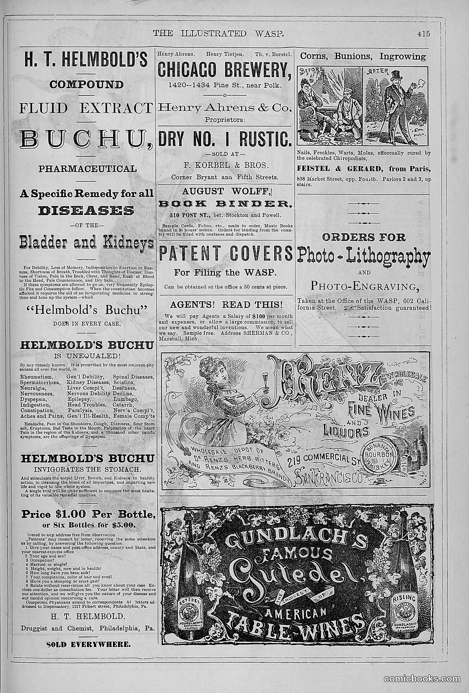 The Wasp — 1879 — page 422 of 846