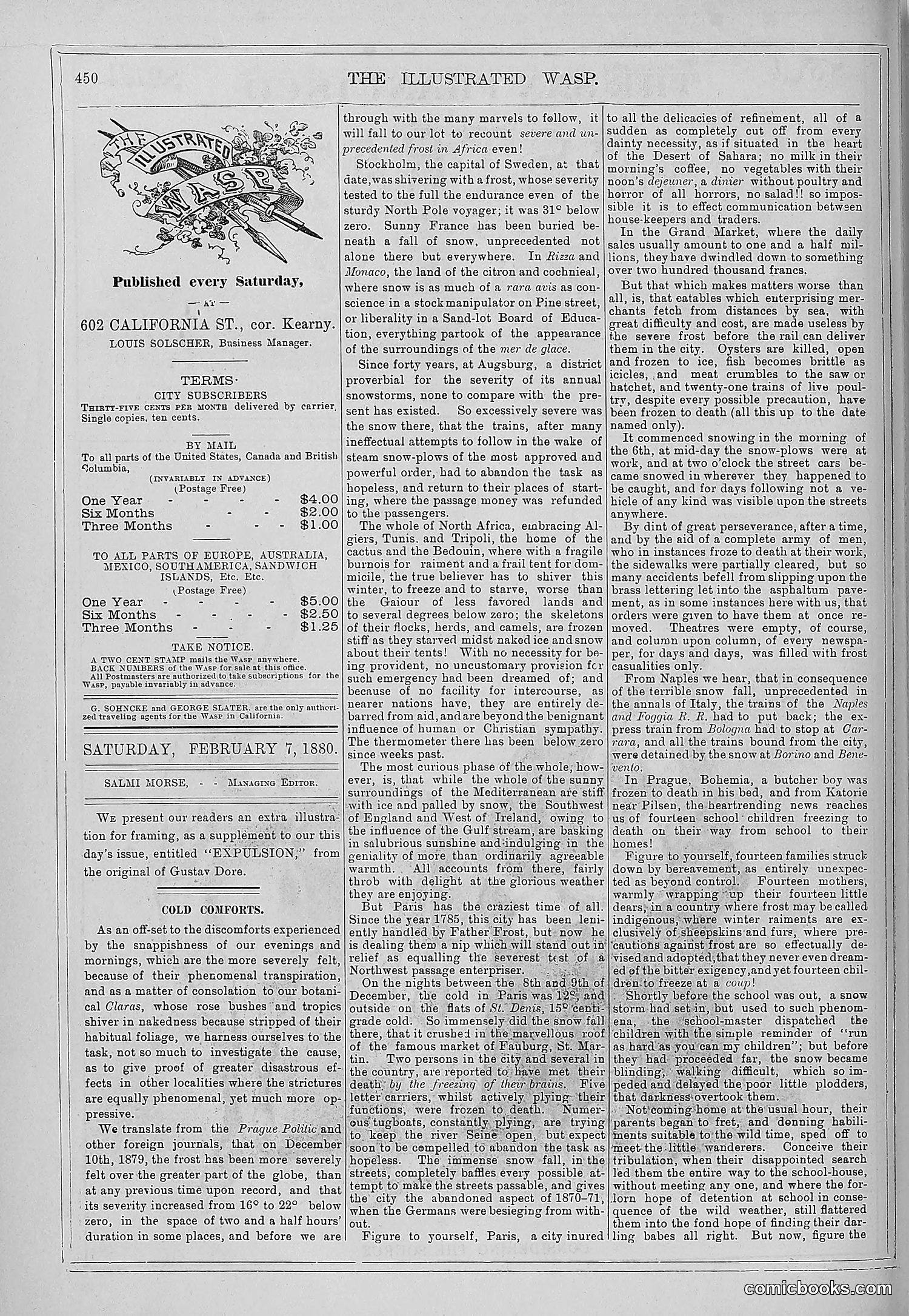 The Wasp — 1879 — page 425 of 846