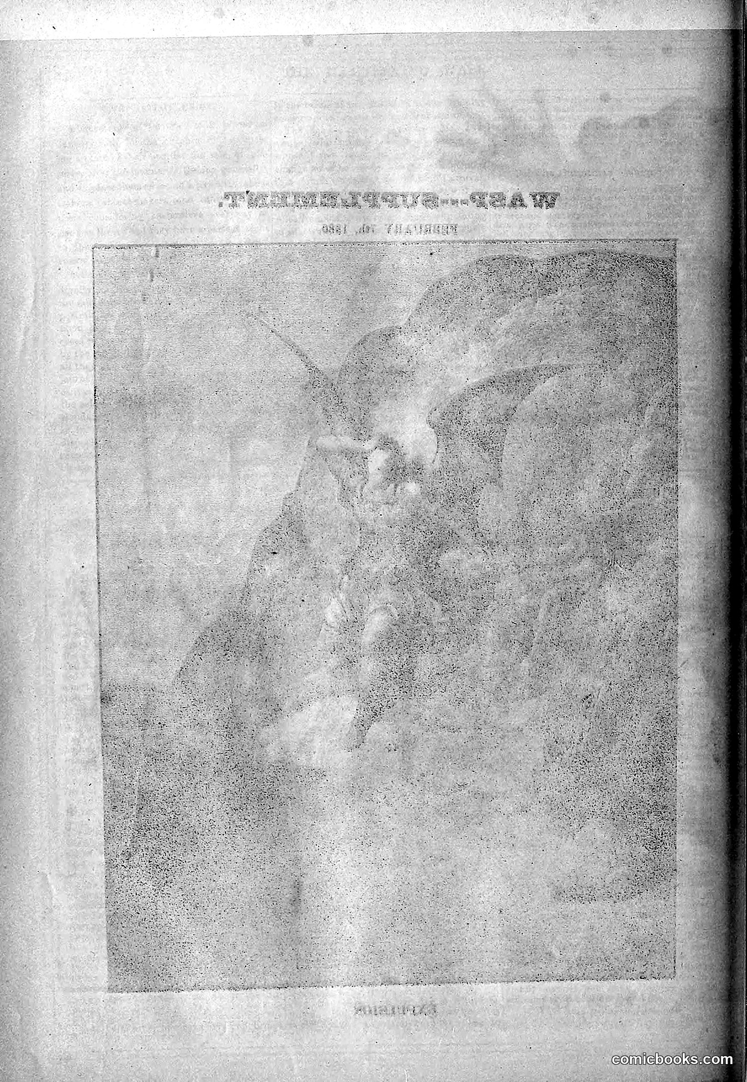 The Wasp — 1879 — page 429 of 846
