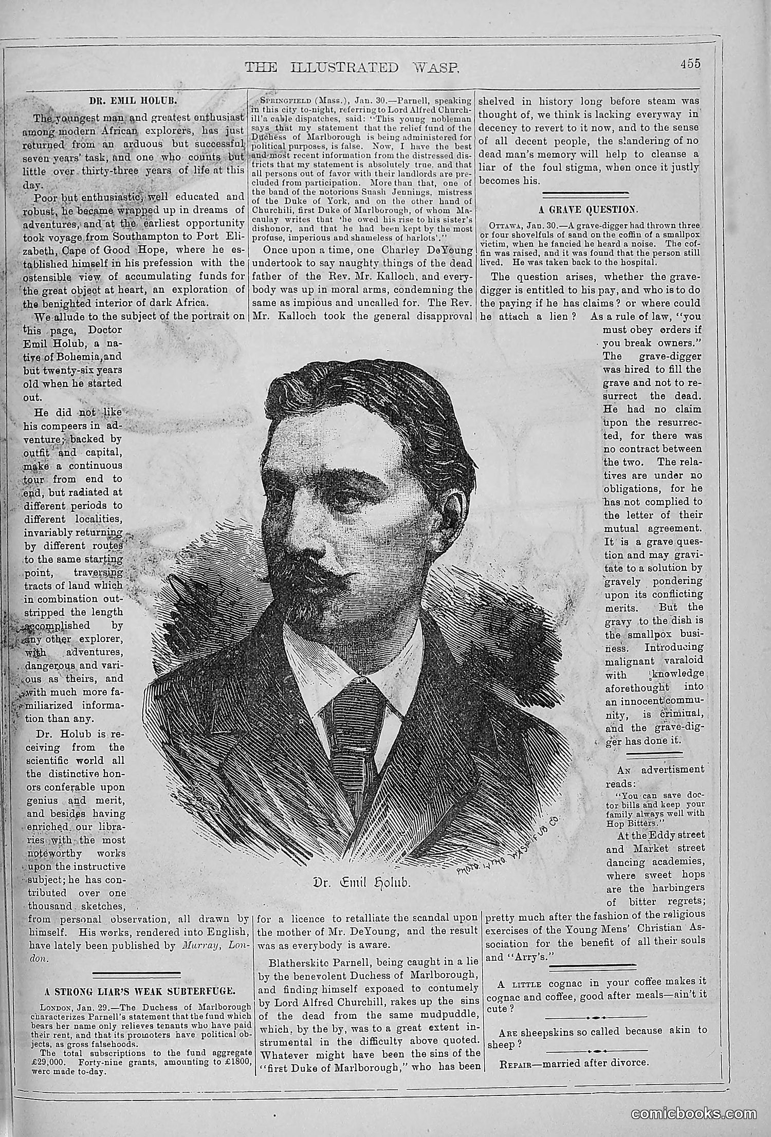 The Wasp — 1879 — page 432 of 846